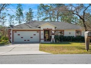 11042 Wood Owl Avenue Weeki Wachee FL 34614 W7851541 image1