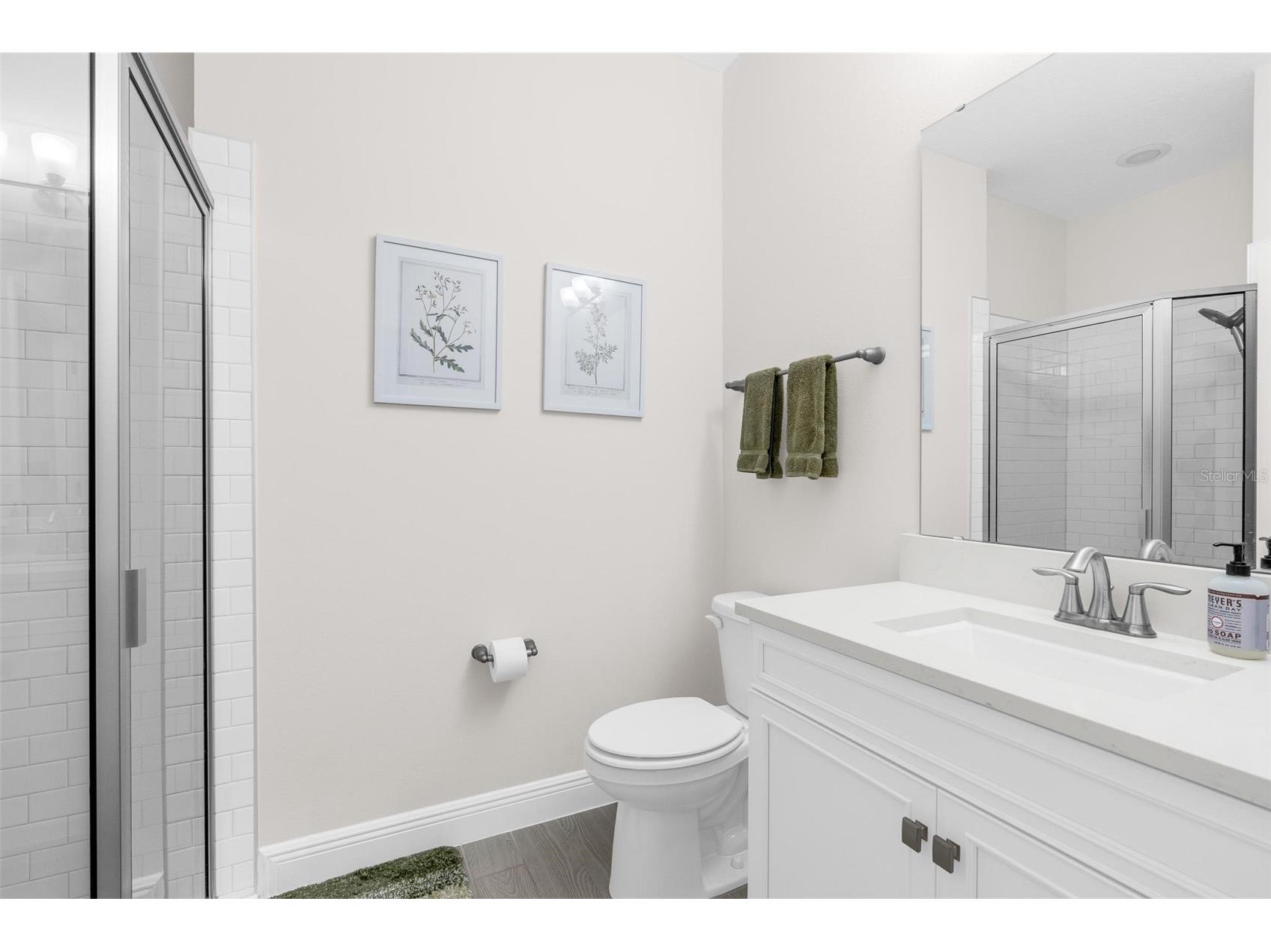 11043 Jackson Cove Winter Garden FL 34787 O6420371 image29
