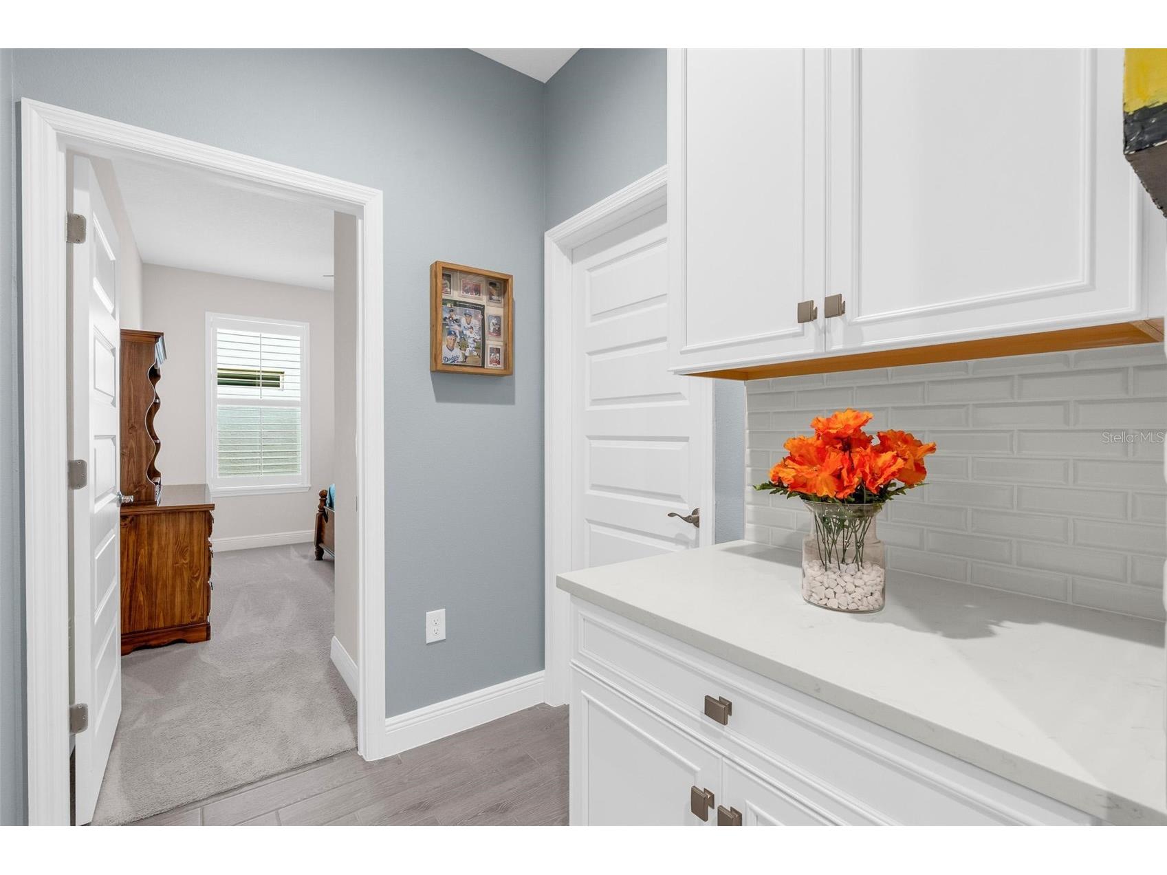 11043 Jackson Cove Winter Garden FL 34787 O6420371 image34