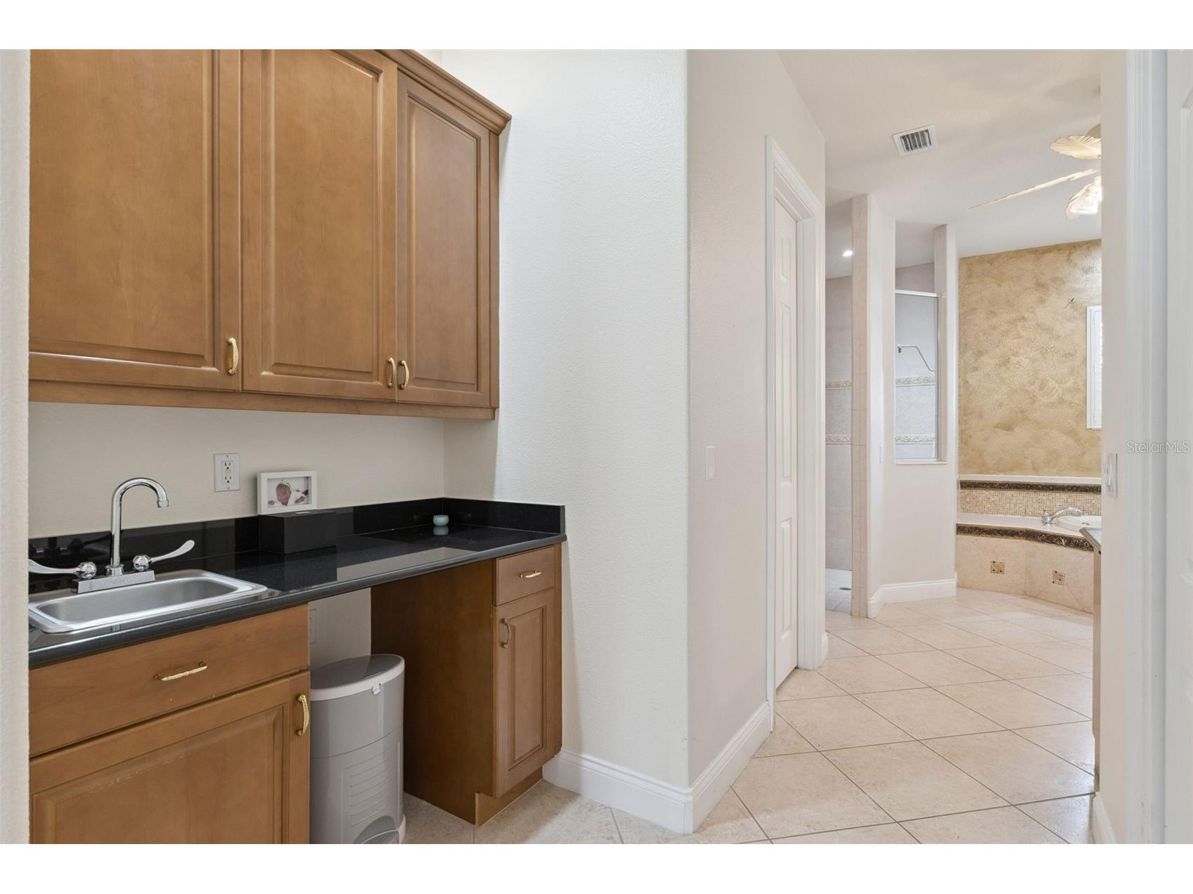 11044 Hawkshead Court Windermere FL 34786 O6388401 image17