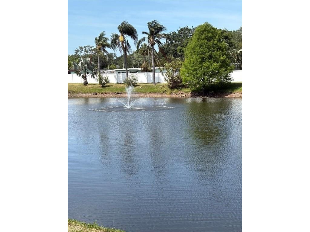 11045 102nd Street N #159 Largo FL 33773 - LAKE SEMINOLE TB8457791 image19