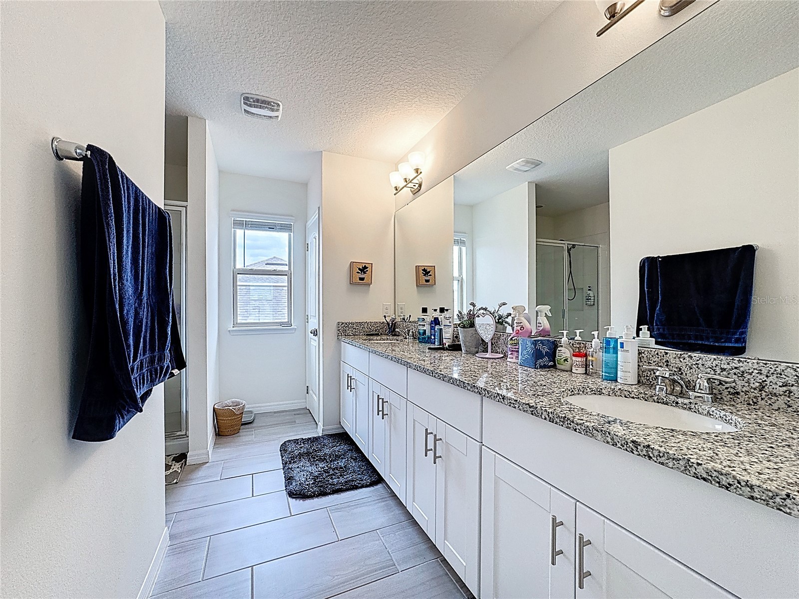11045 Bostwick Alley Winter Garden FL 34787 O6337436 image45