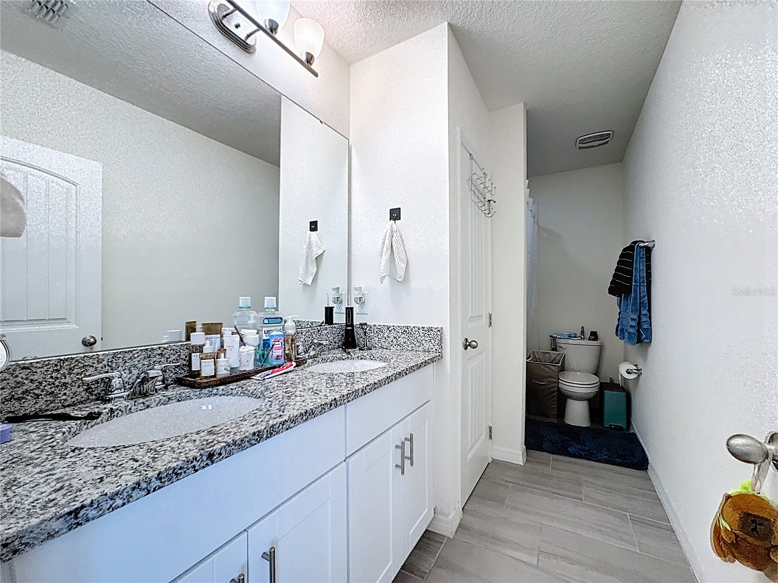 11045 Bostwick Alley Winter Garden FL 34787 O6337436 image46
