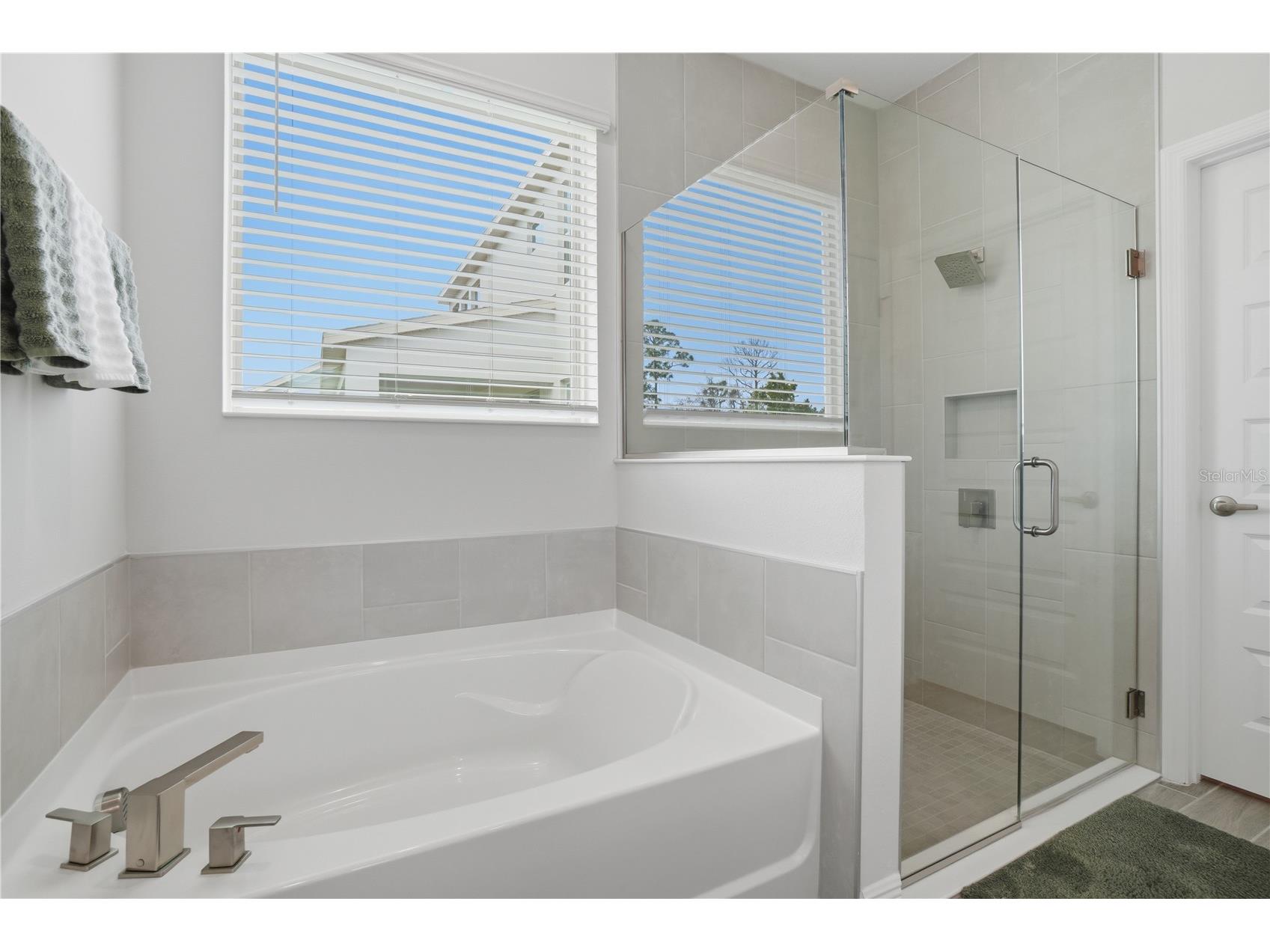 11045 Hollow Bay Drive Winter Garden FL 34787 O6394192 image18