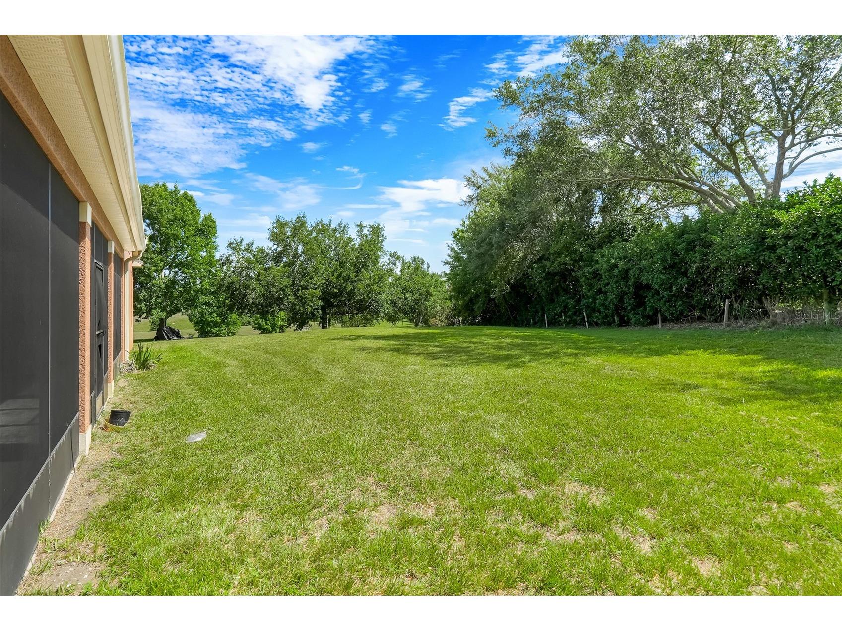 11045 Lemay Drive Clermont FL 34711 P4939018 image22