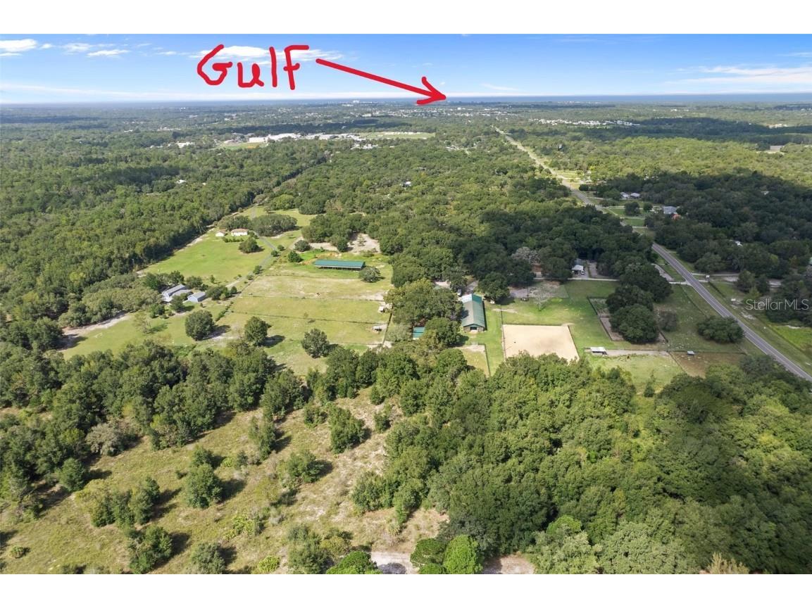 11046 Kitten Trail Hudson FL 34669 W7874713 image2