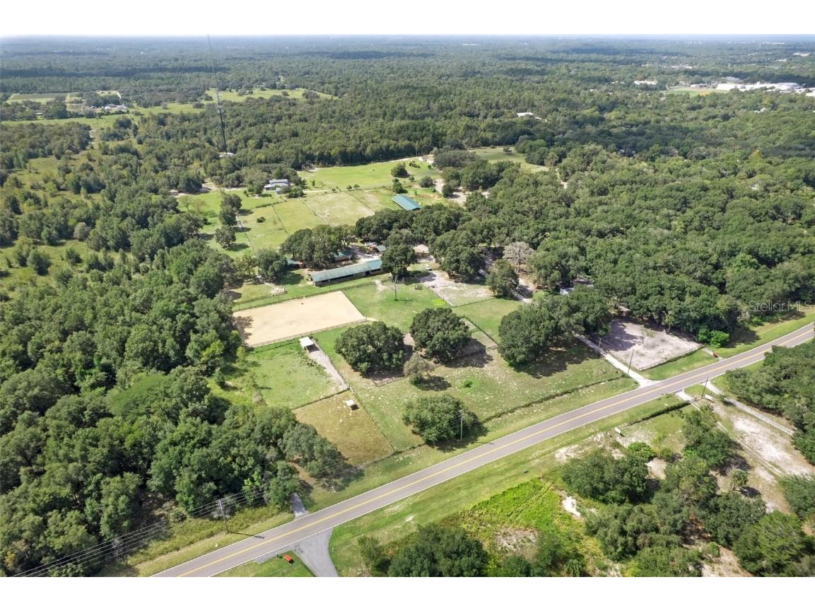 11046 Kitten Trail Hudson FL 34669 W7874713 image6