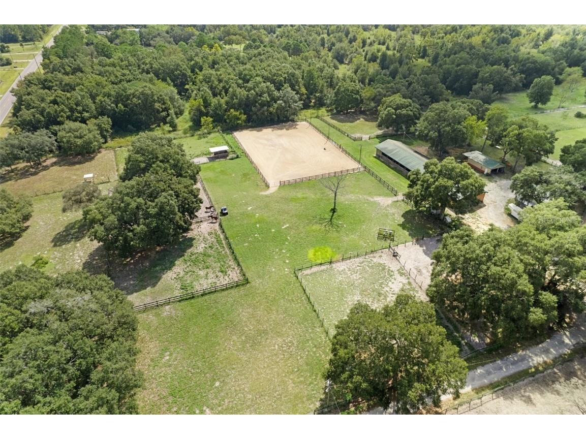 11046 Kitten Trail Hudson FL 34669 W7874713 image7