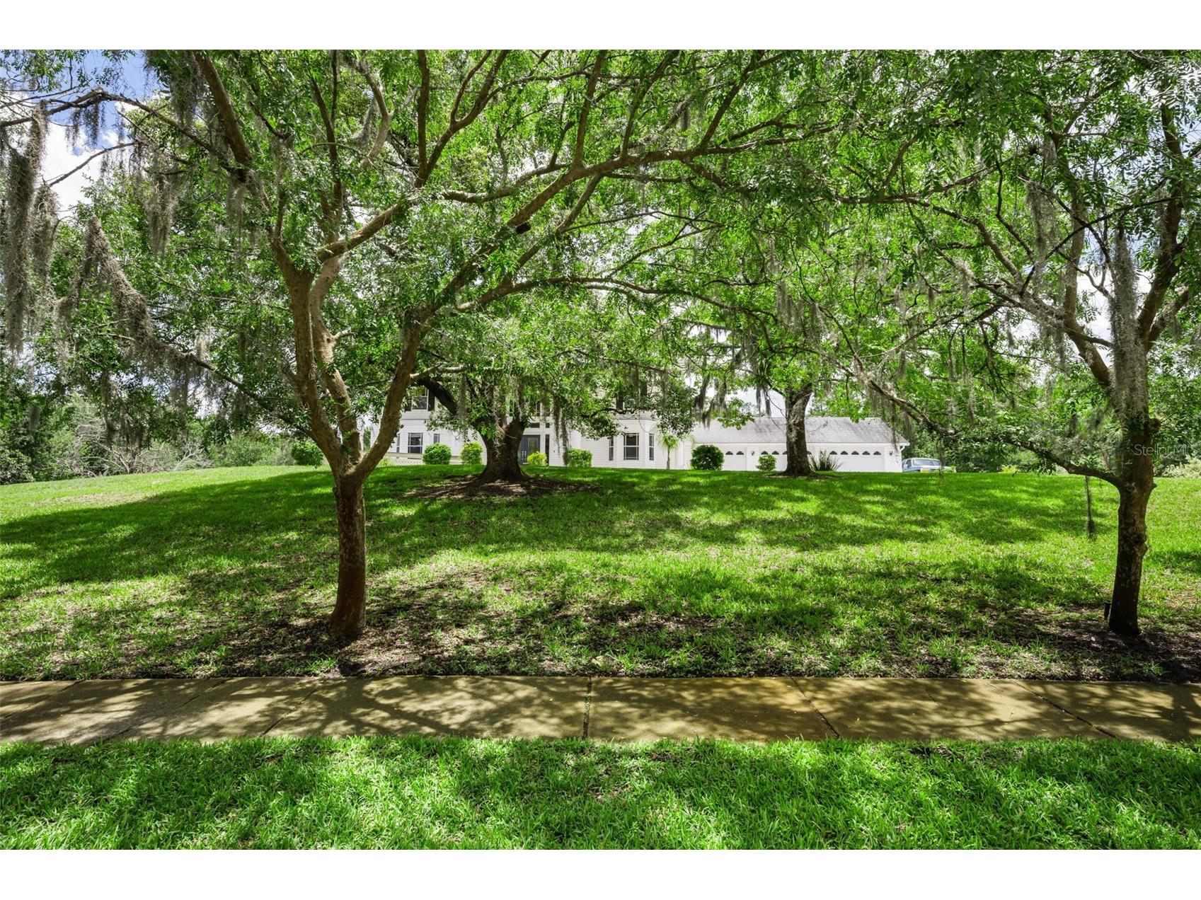 11046 Lakeview Drive New Port Richey FL 34654 W7885932 image83