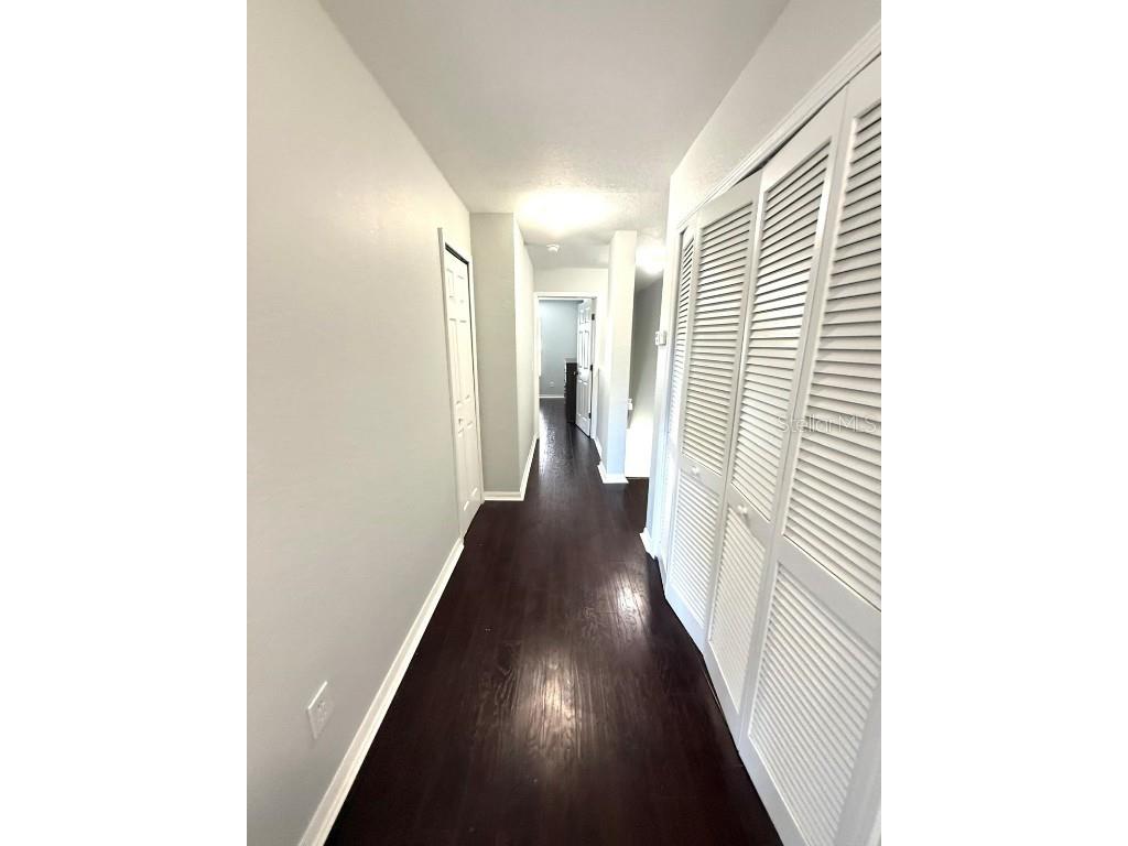 11046 Winter Crest Drive Riverview FL 33569 TB8460728 image23