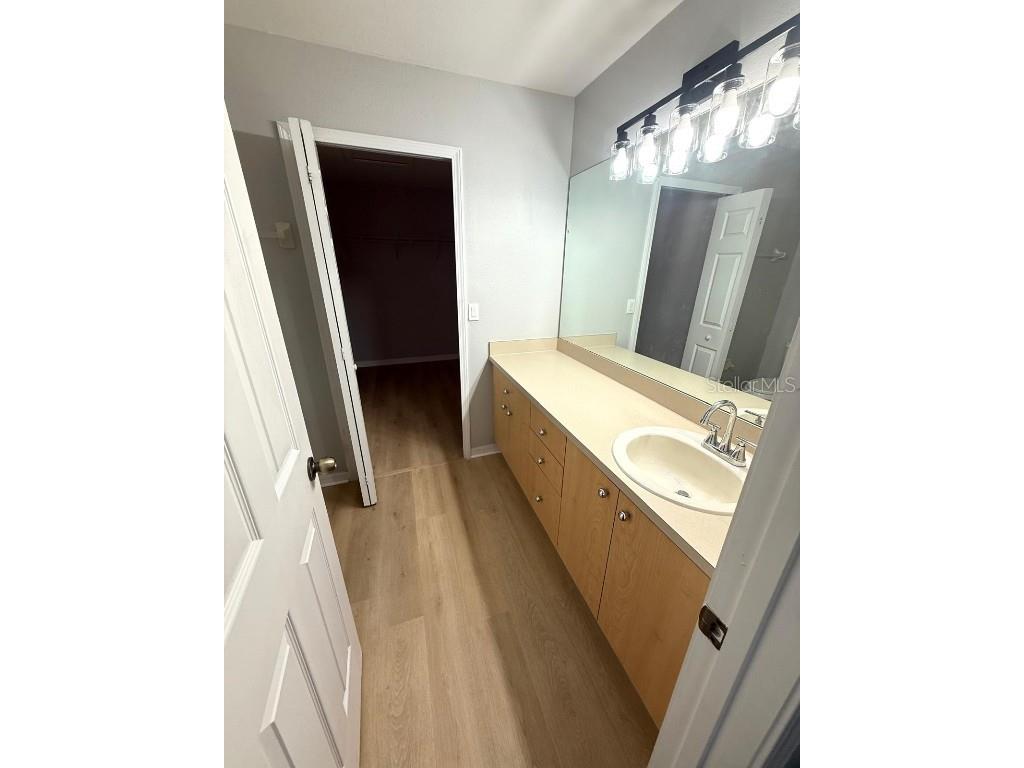 11046 Winter Crest Drive Riverview FL 33569 TB8460728 image27