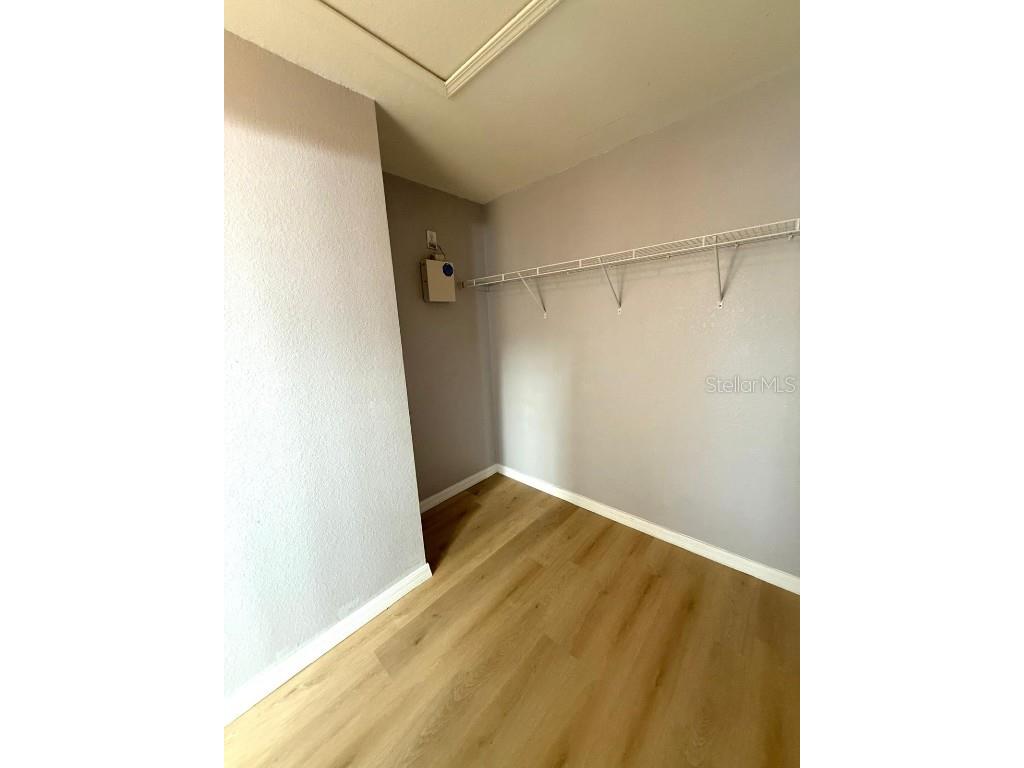 11046 Winter Crest Drive Riverview FL 33569 TB8460728 image29