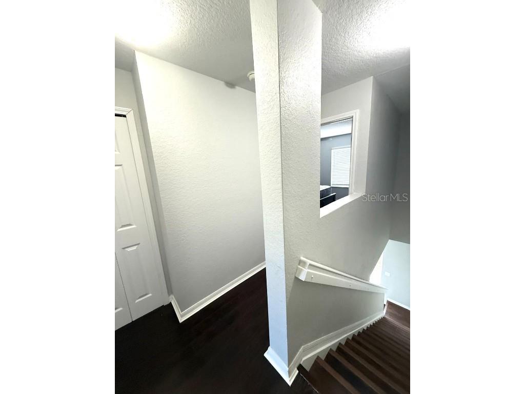 11046 Winter Crest Drive Riverview FL 33569 TB8460728 image31