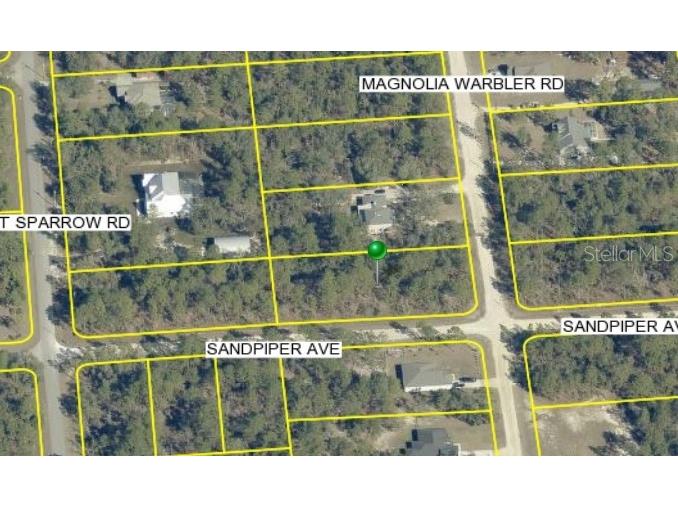 11047 Sandpiper Avenue Brooksville FL 34614 W7876746 image1