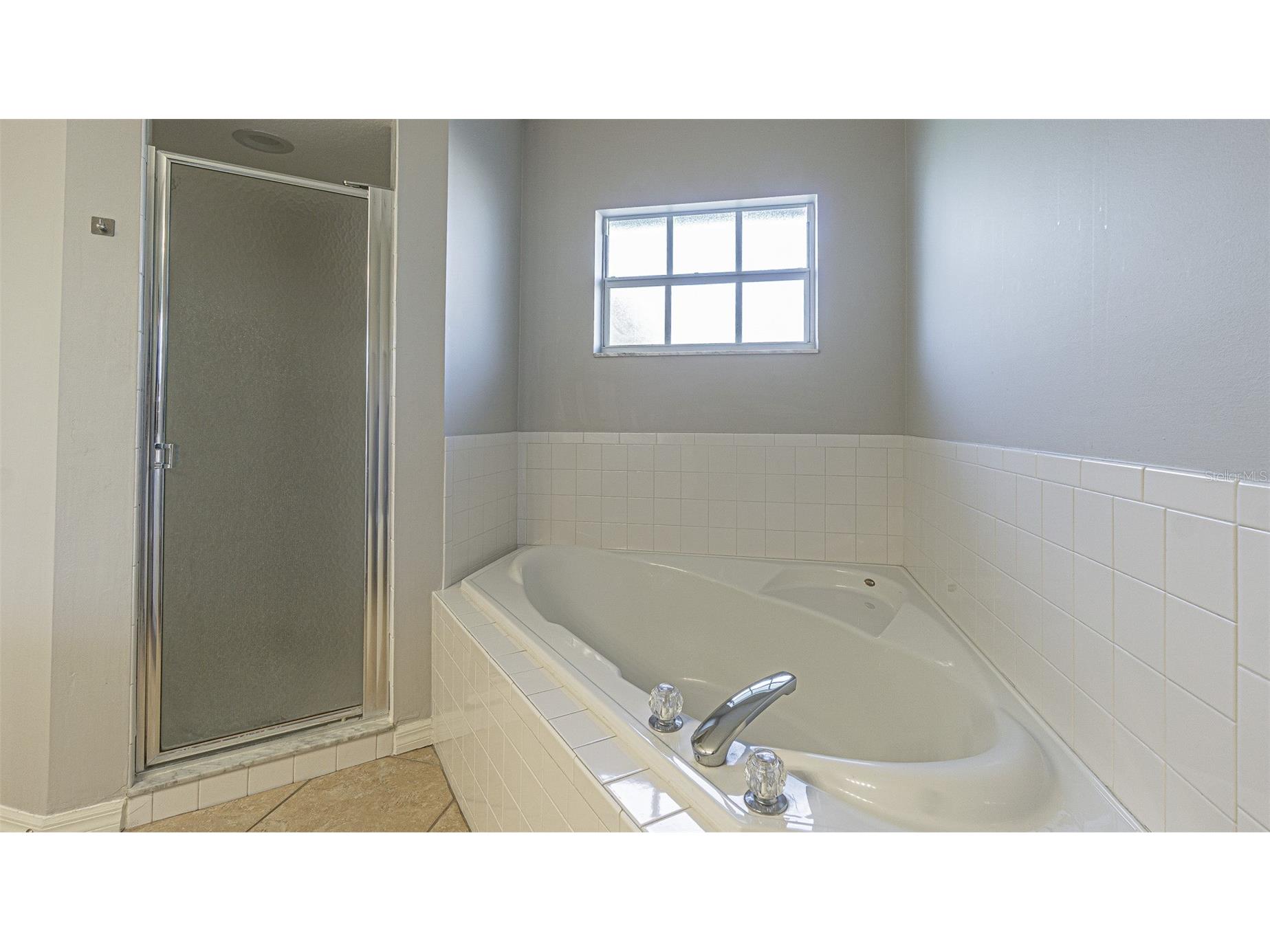 11048 Moshie Lane San Antonio FL 33576 TB8481916 image24