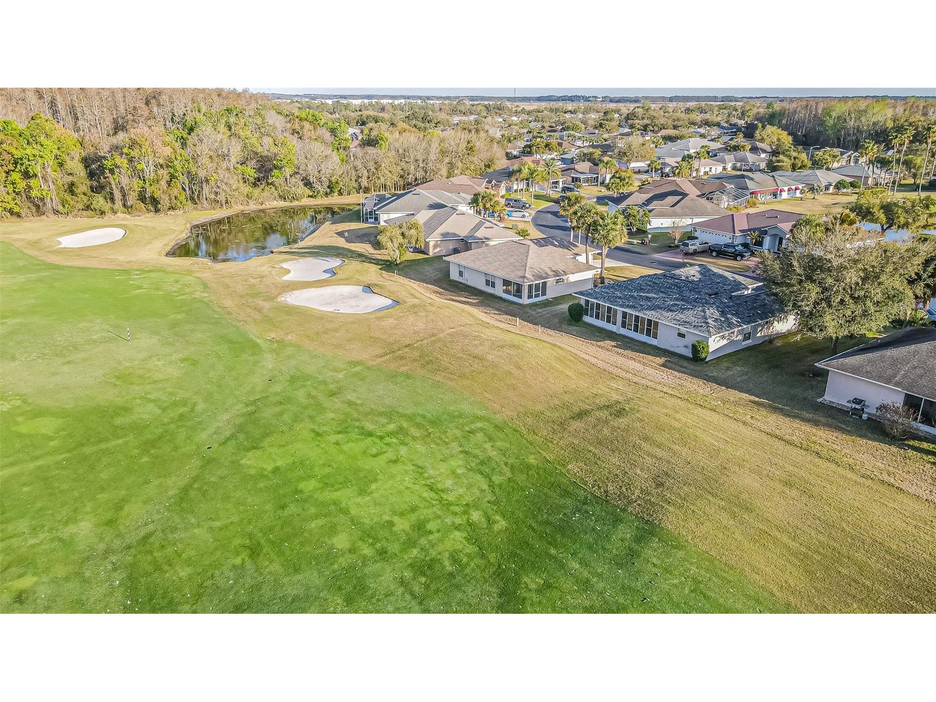 11048 Moshie Lane San Antonio FL 33576 TB8481916 image39