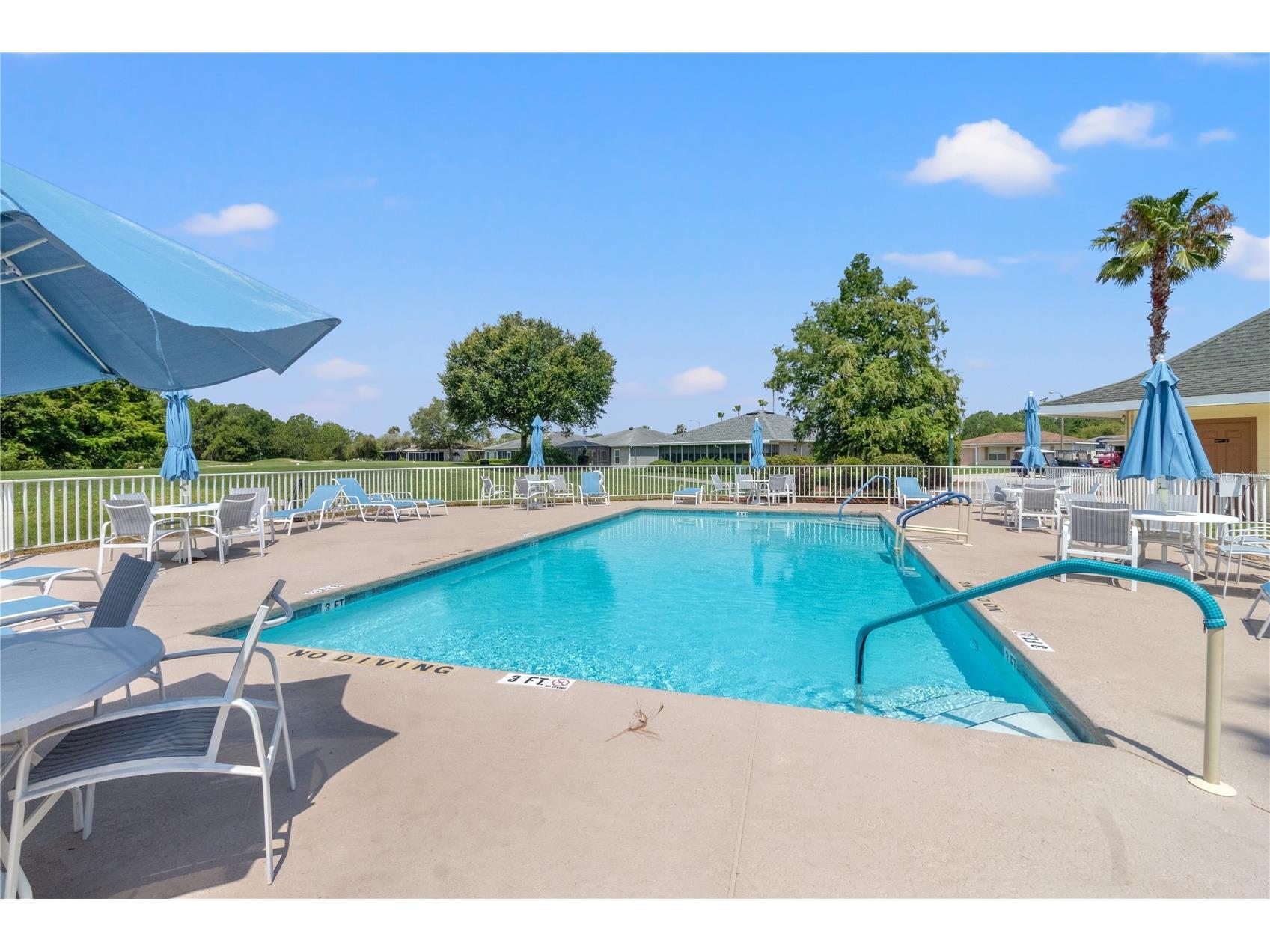 11048 Moshie Lane San Antonio FL 33576 TB8481916 image66