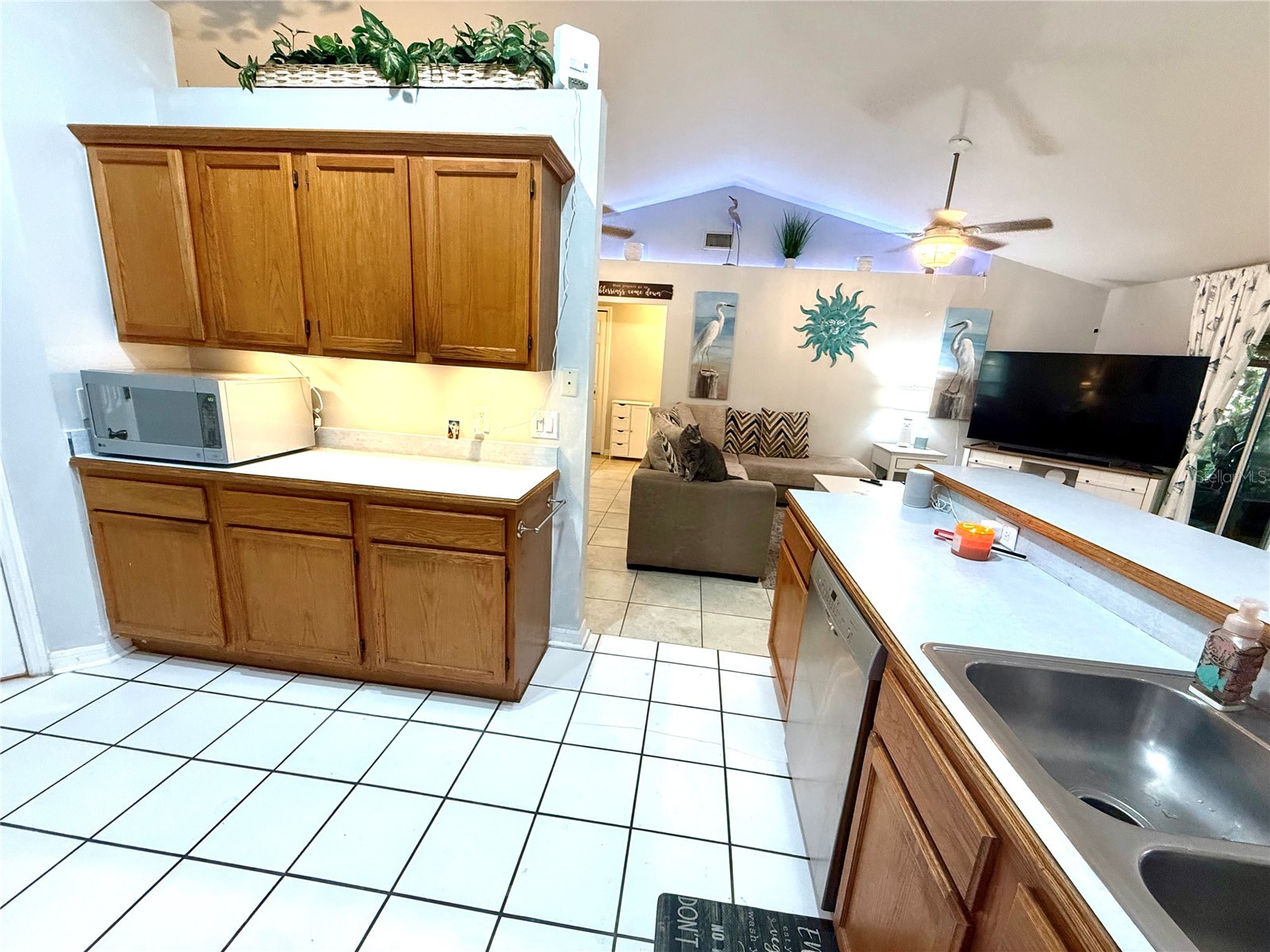 11048 Rosehill Drive Clermont FL 34711 G5113346 image16