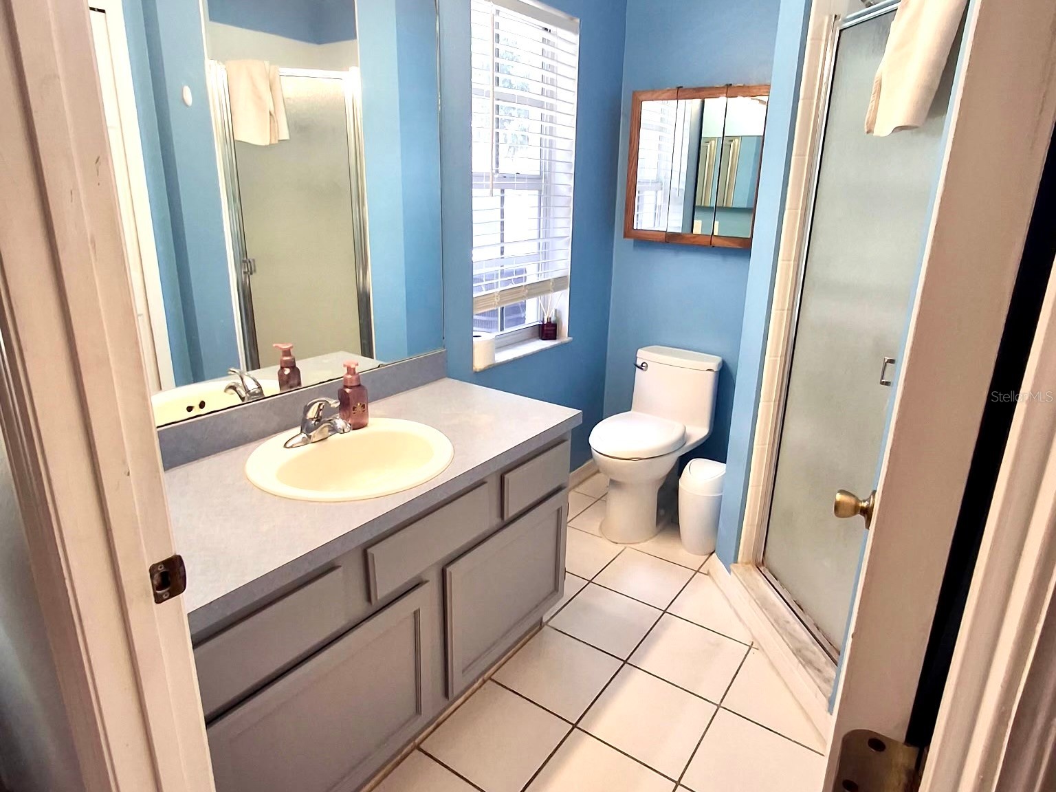 11048 Rosehill Drive Clermont FL 34711 G5113346 image22