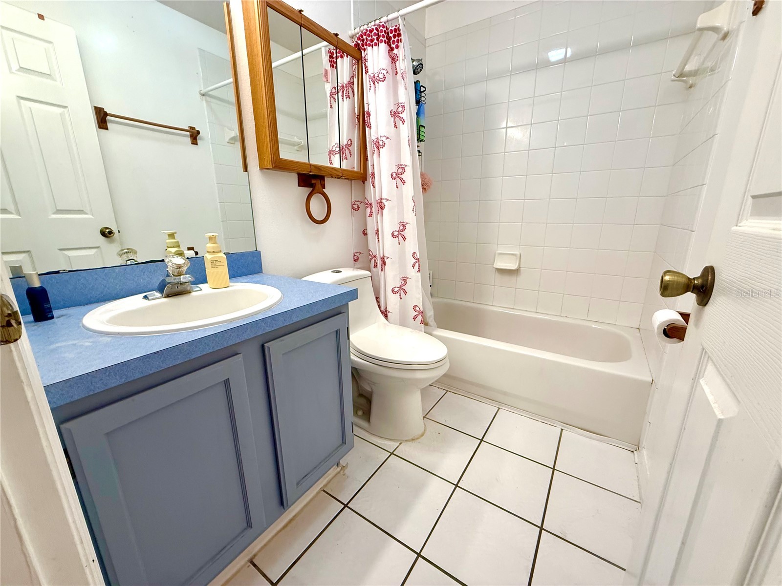 11048 Rosehill Drive Clermont FL 34711 G5113346 image26