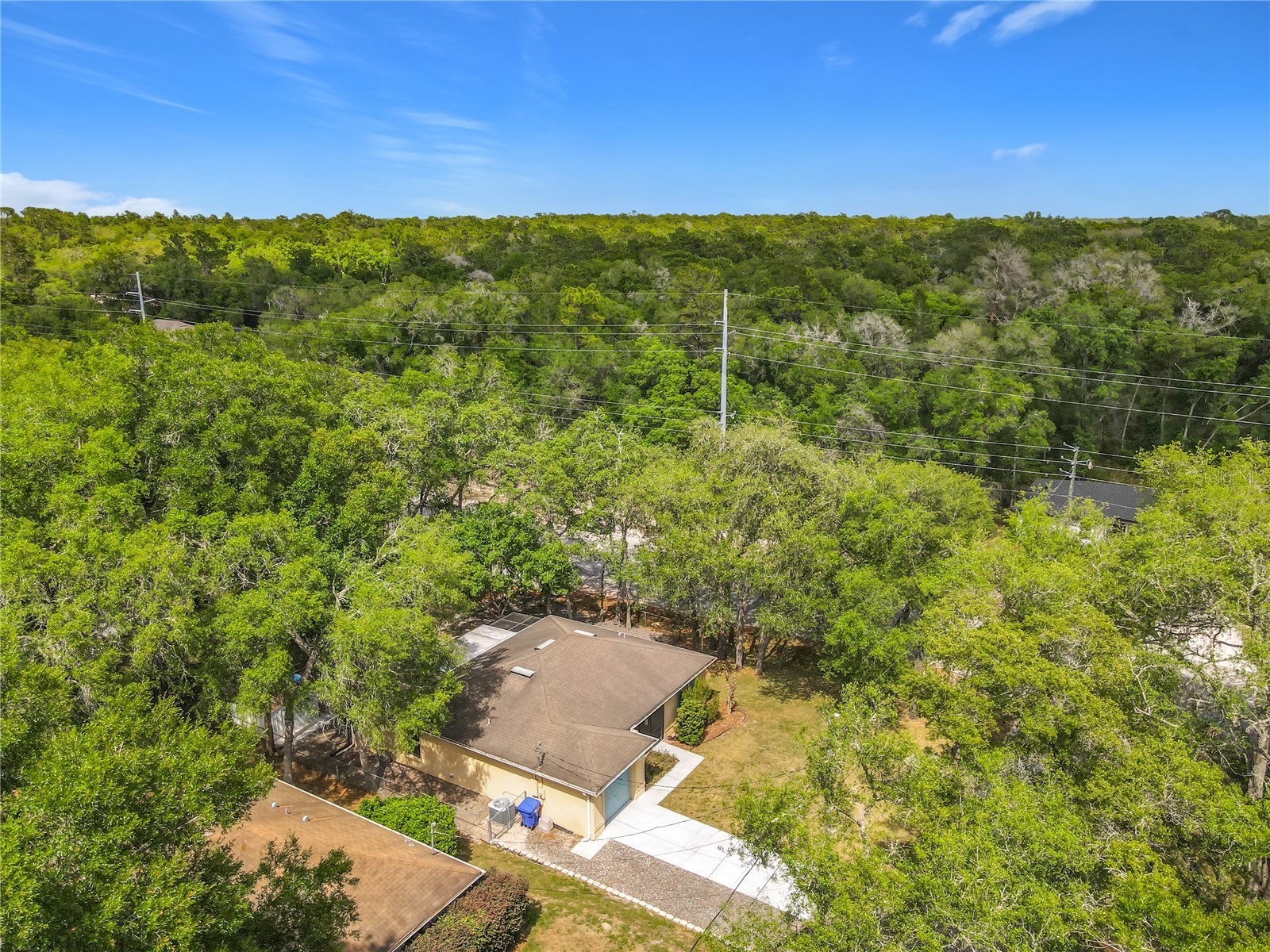 1105 19th Street Orange City FL 32763 O6403335 image20
