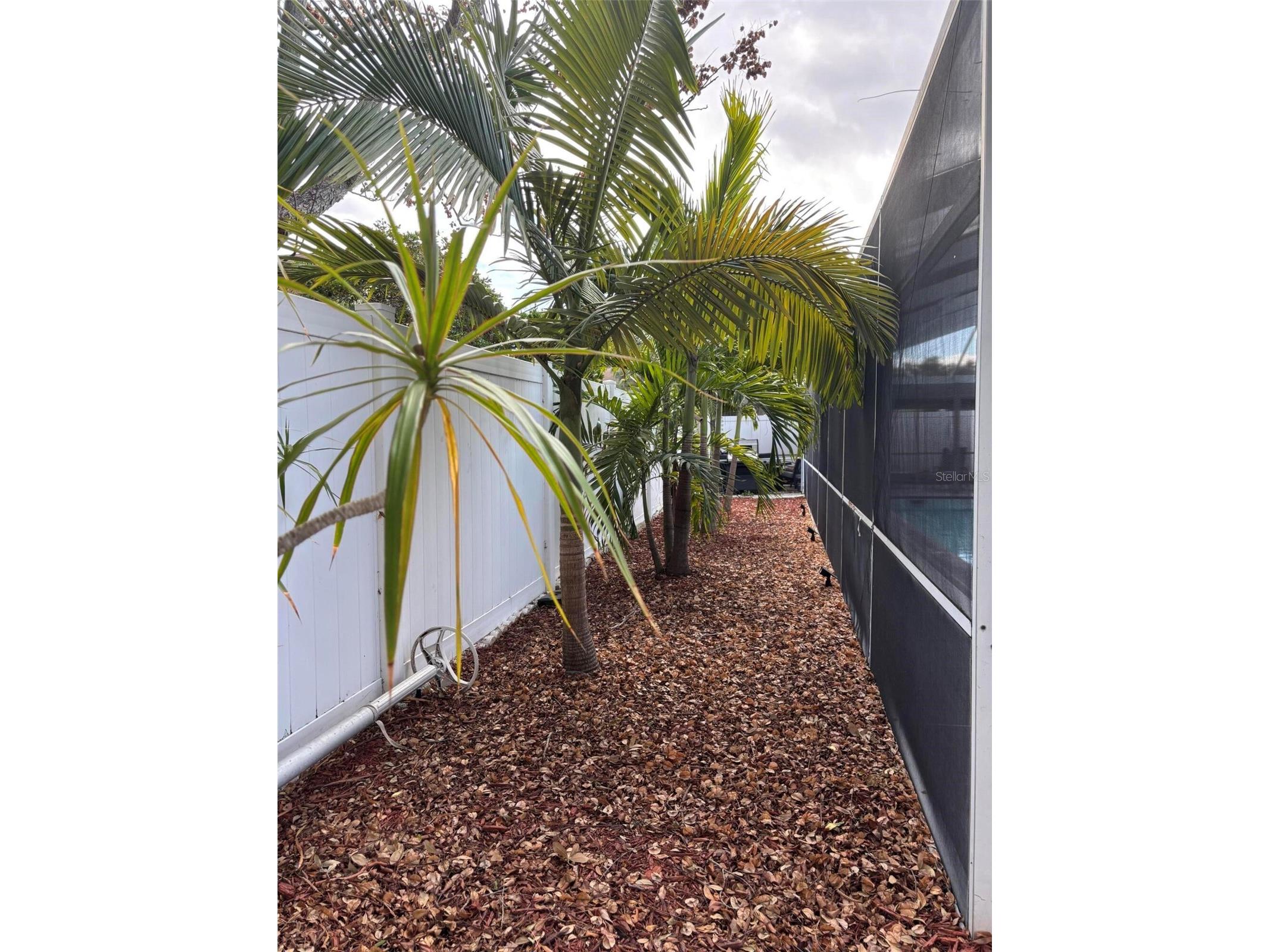 1105 Amble Lane Clearwater FL 33755 TB8500786 image19