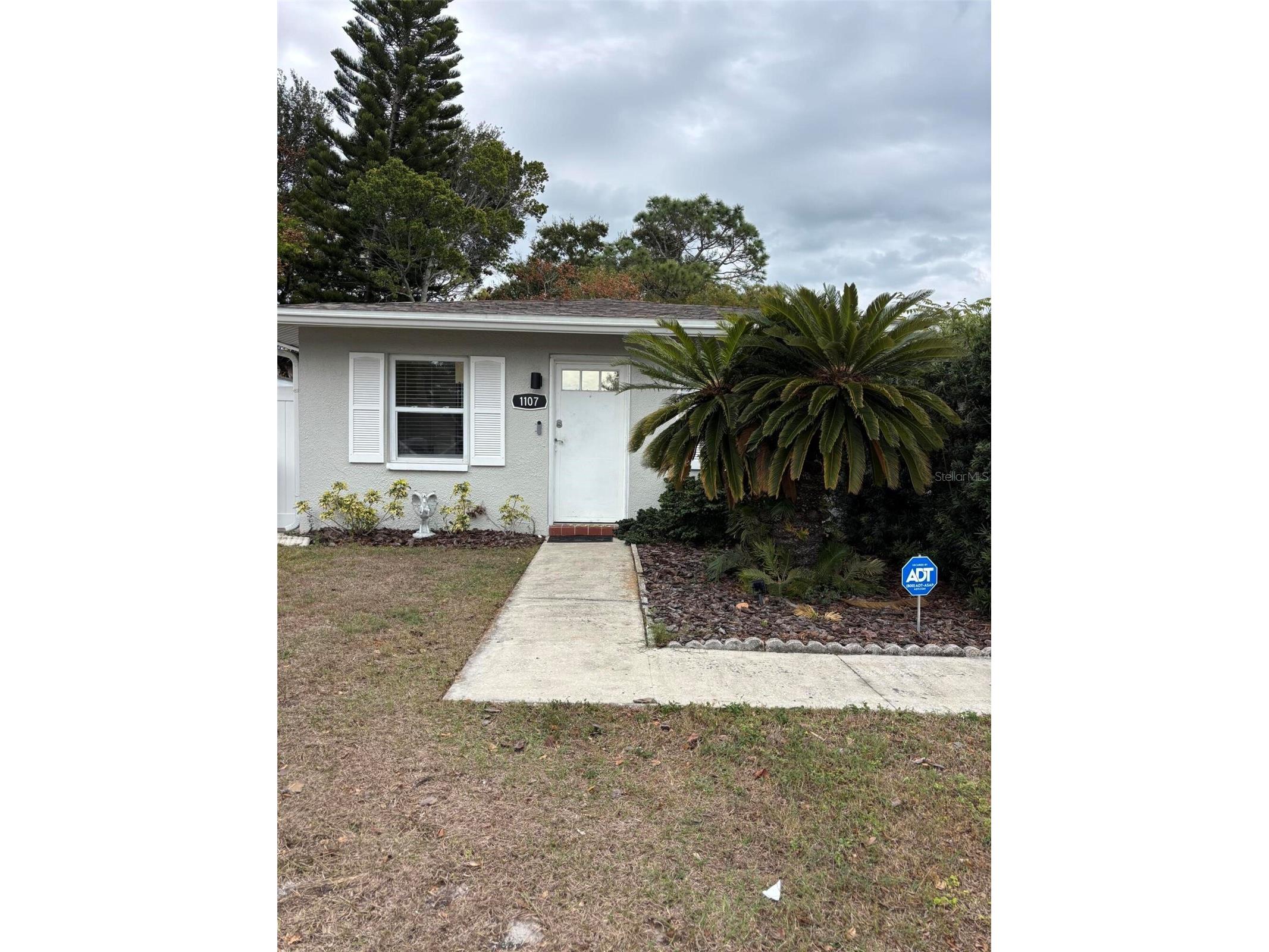 1105 Amble Lane Clearwater FL 33755 TB8500786 image3