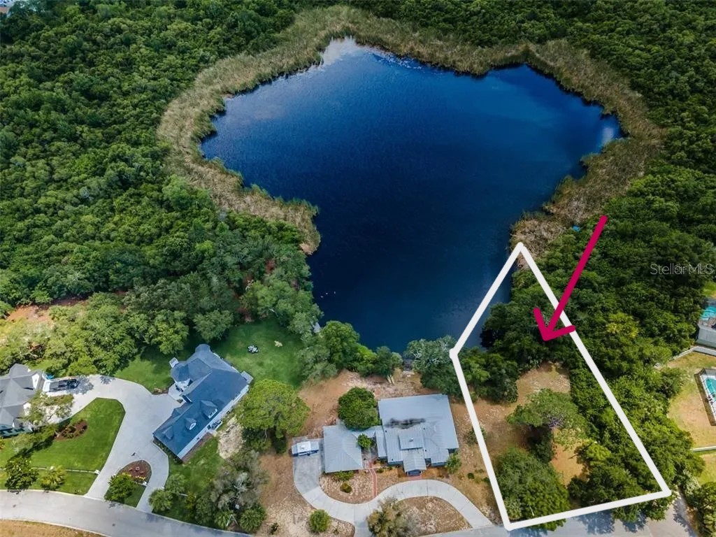 1105 Ashland Tarpon Springs FL 34689 - Hidden Lake TB8507492 image1