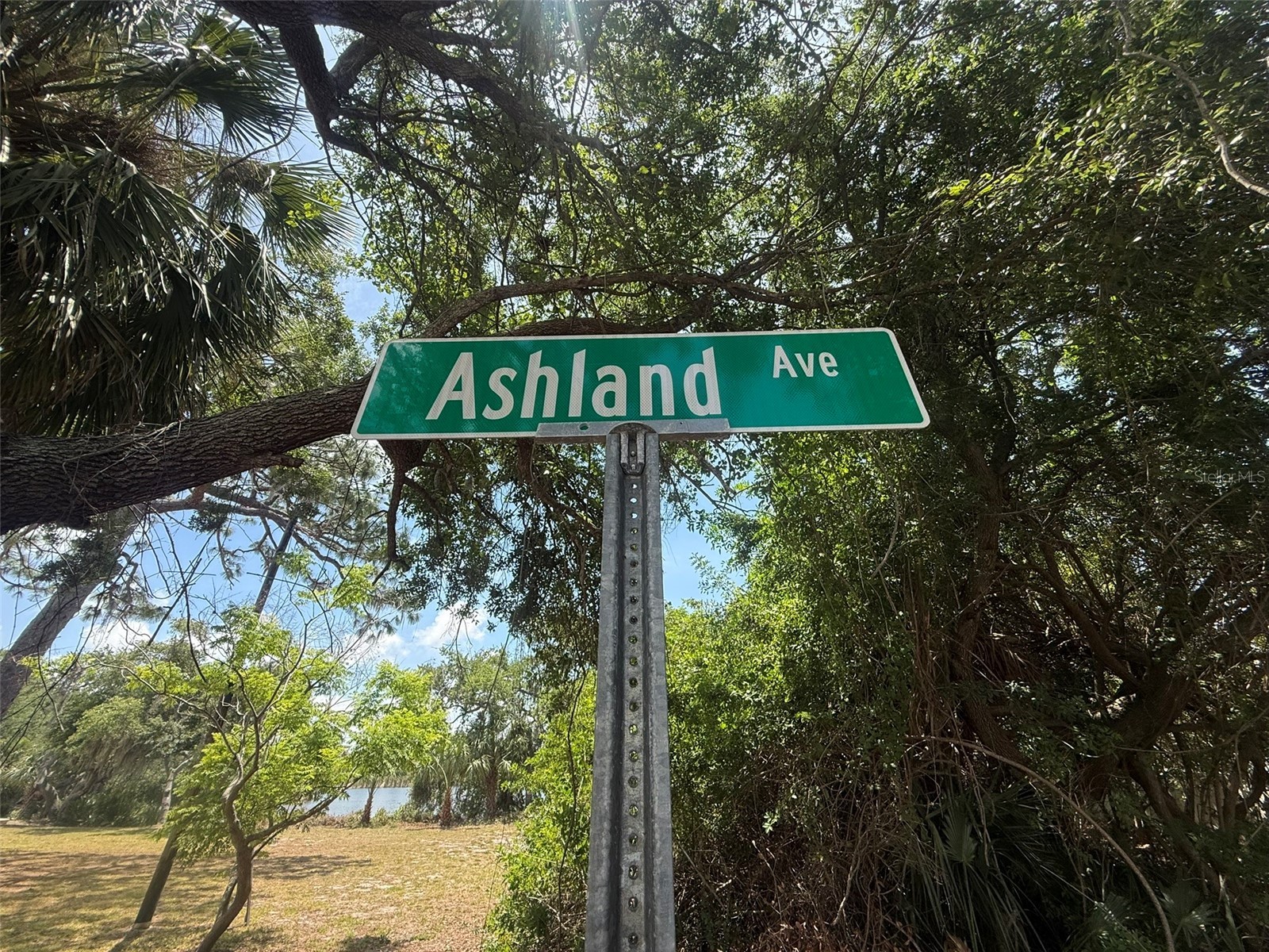 1105 Ashland Tarpon Springs FL 34689 - Hidden Lake TB8507492 image11