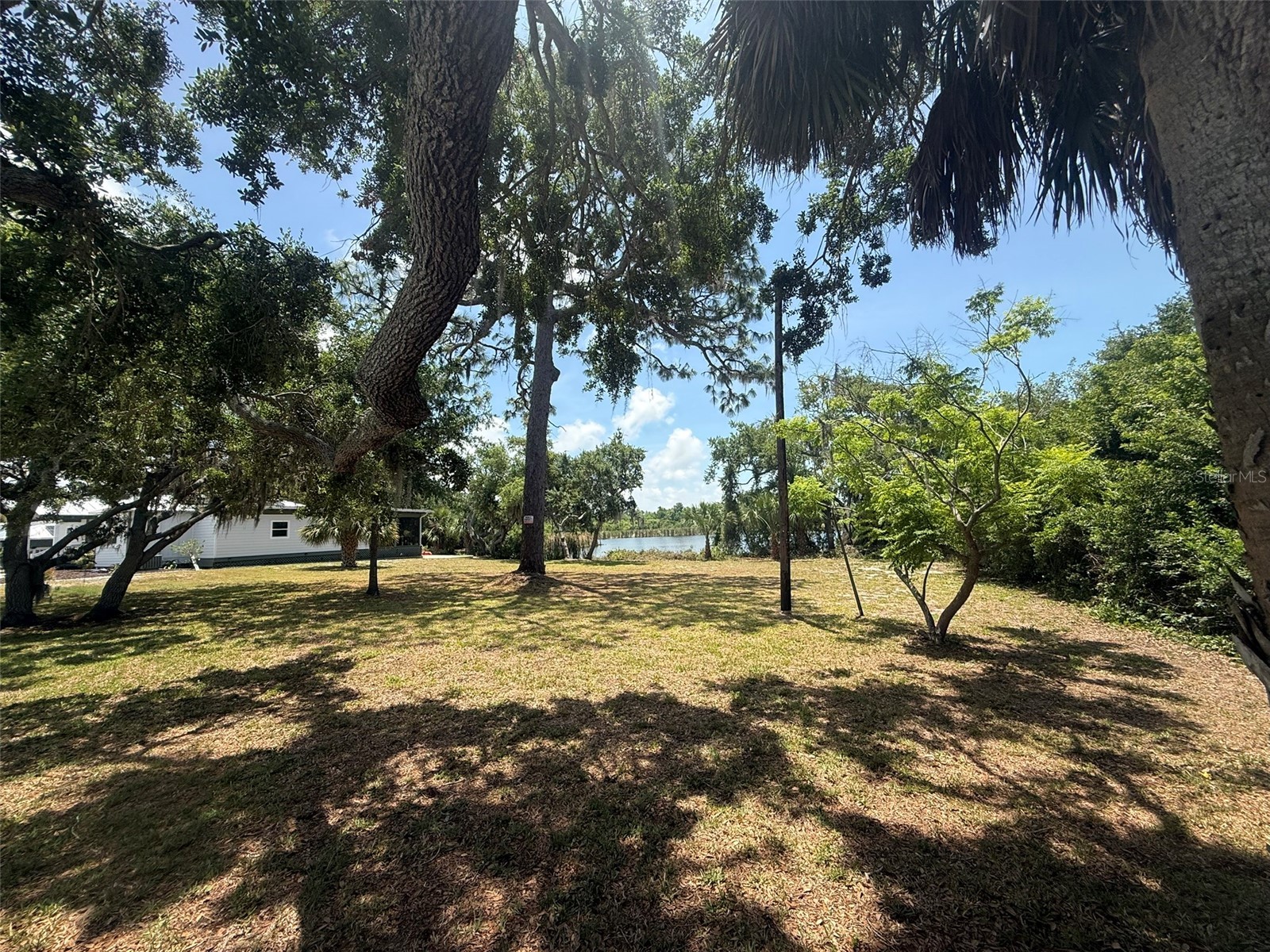 1105 Ashland Tarpon Springs FL 34689 - Hidden Lake TB8507492 image4