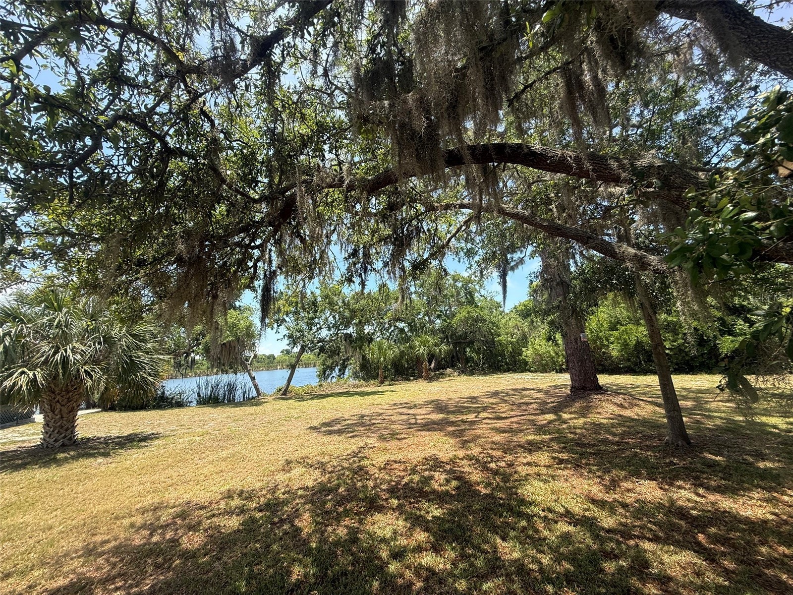 1105 Ashland Tarpon Springs FL 34689 - Hidden Lake TB8507492 image5