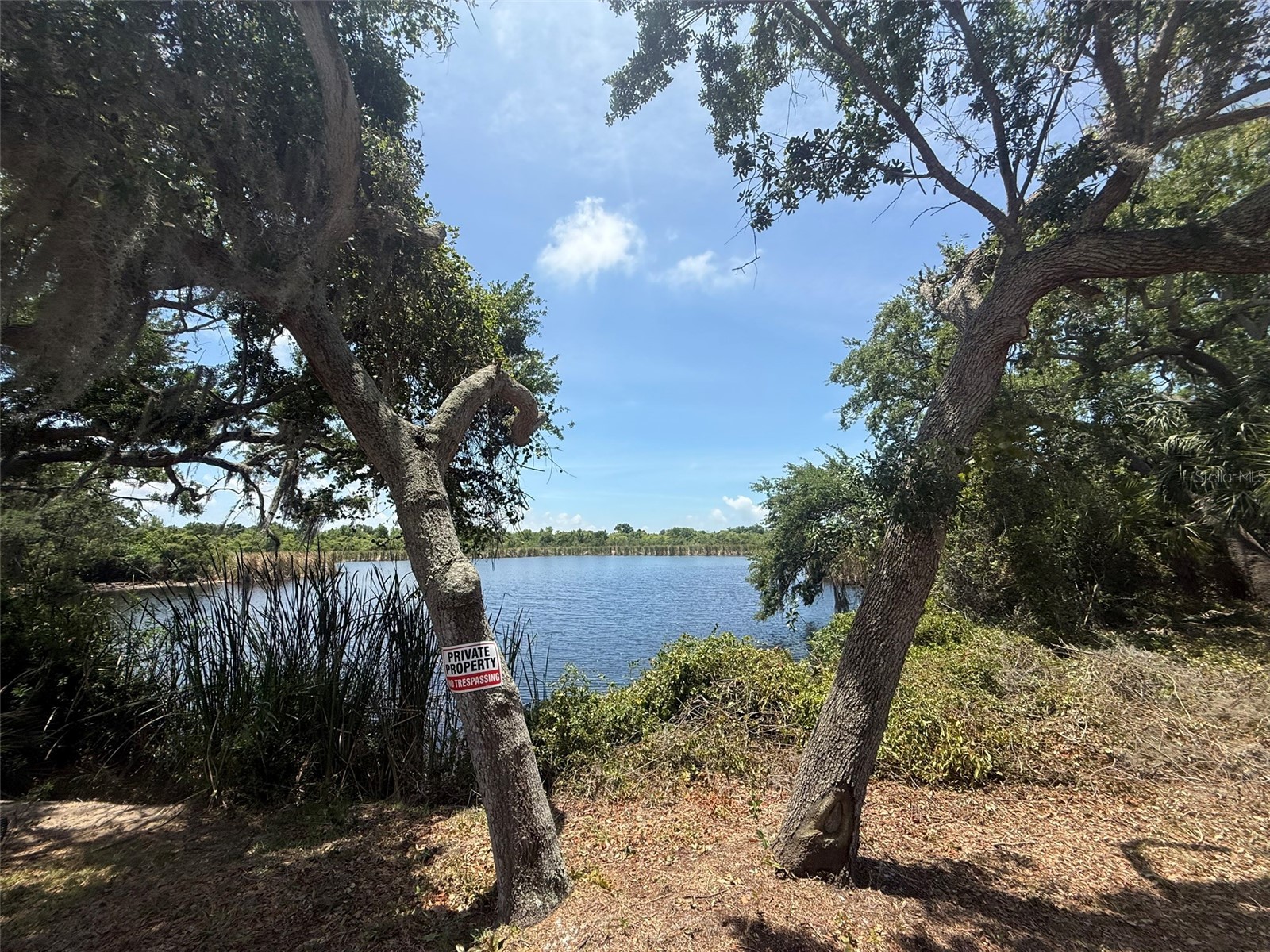 1105 Ashland Tarpon Springs FL 34689 - Hidden Lake TB8507492 image6
