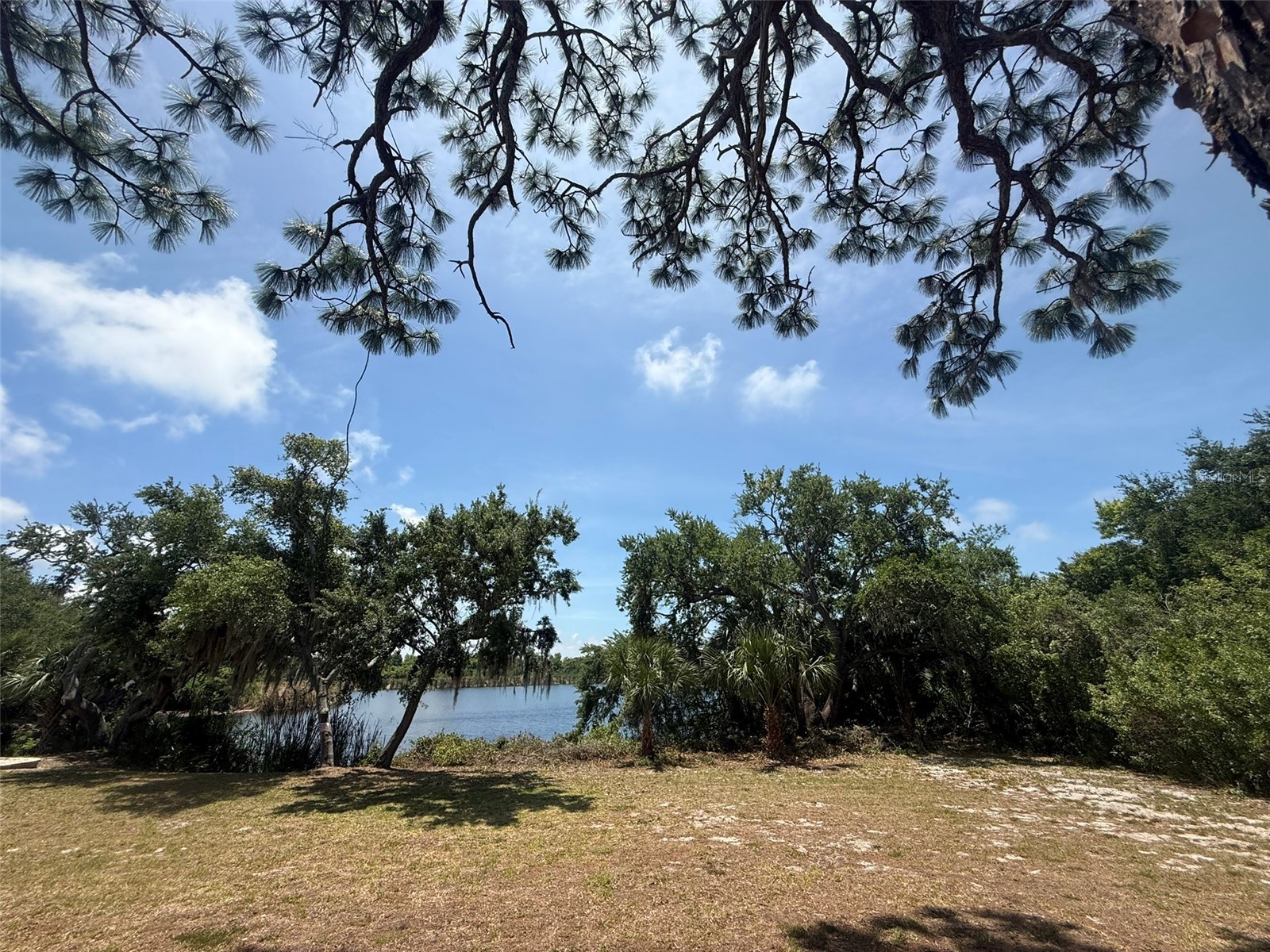 1105 Ashland Tarpon Springs FL 34689 - Hidden Lake TB8507492 image7
