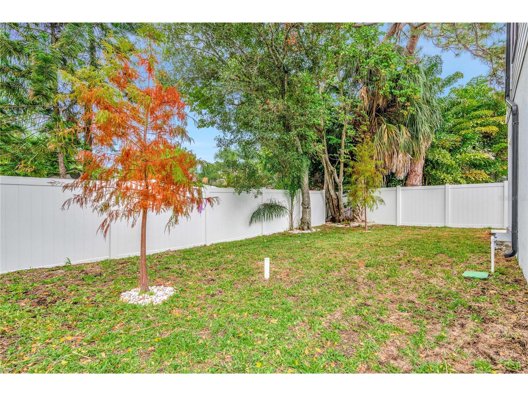 1105 Conant Avenue Safety Harbor FL 34695 TB8510607 image40
