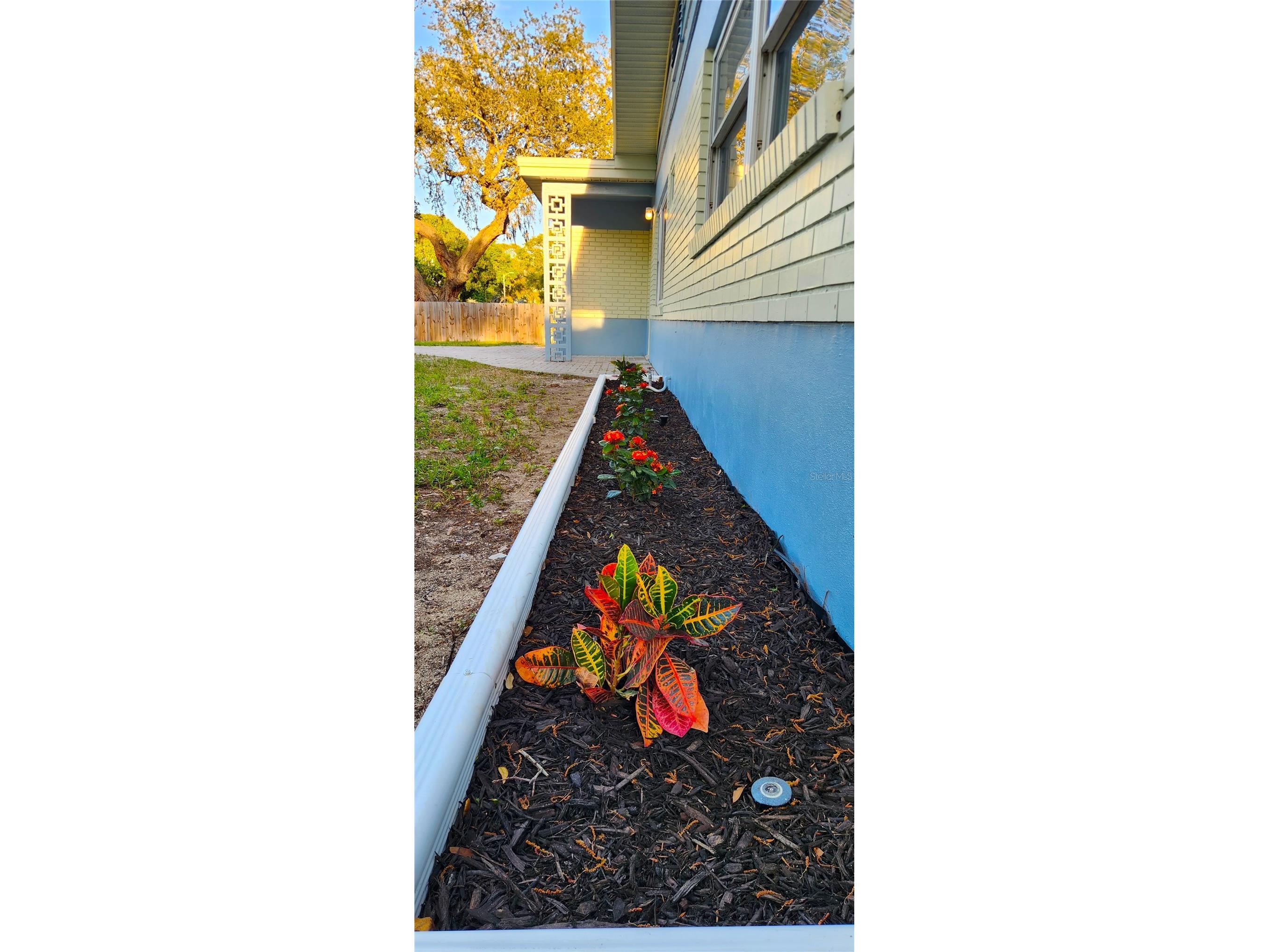 1105 Connecticut Road Tarpon Springs FL 34689 TB8492237 image4