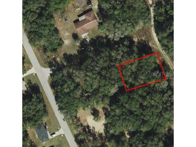 1105 Constitution Way Inverness FL 34453 OM685125 image8