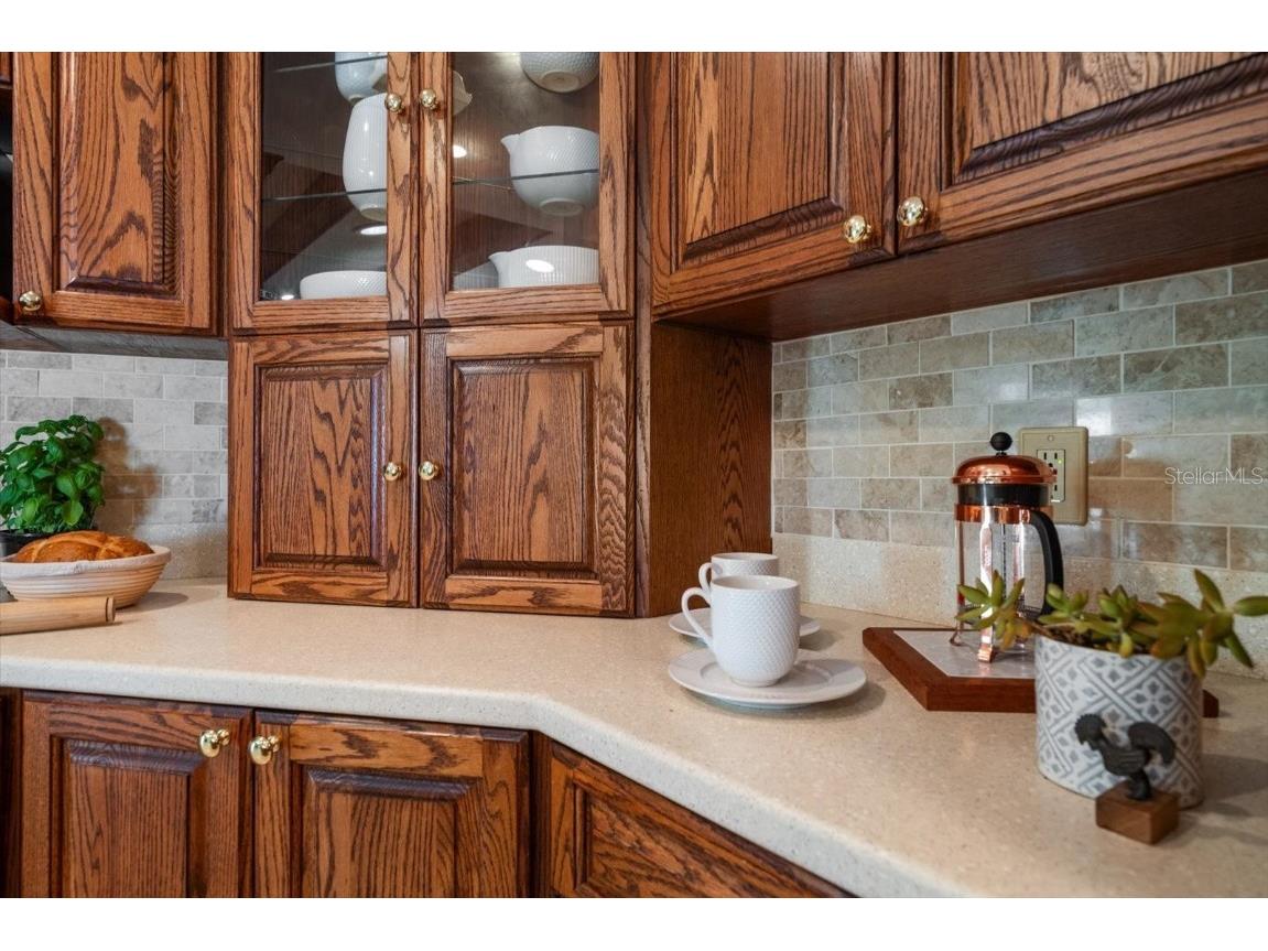 1105 Deer Run Place Valrico FL 33594 TB8439295 image11