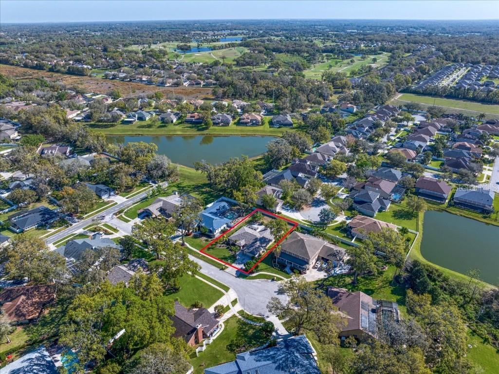 1105 Deer Run Place Valrico FL 33594 TB8439295 image4