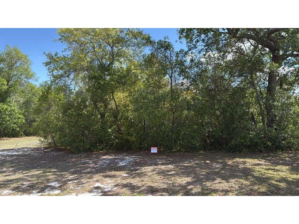 1105 Grapefruit Avenue Sebring FL 33870 O6376788 image2