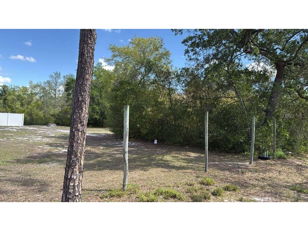 1105 Grapefruit Avenue Sebring FL 33870 O6376788 image3