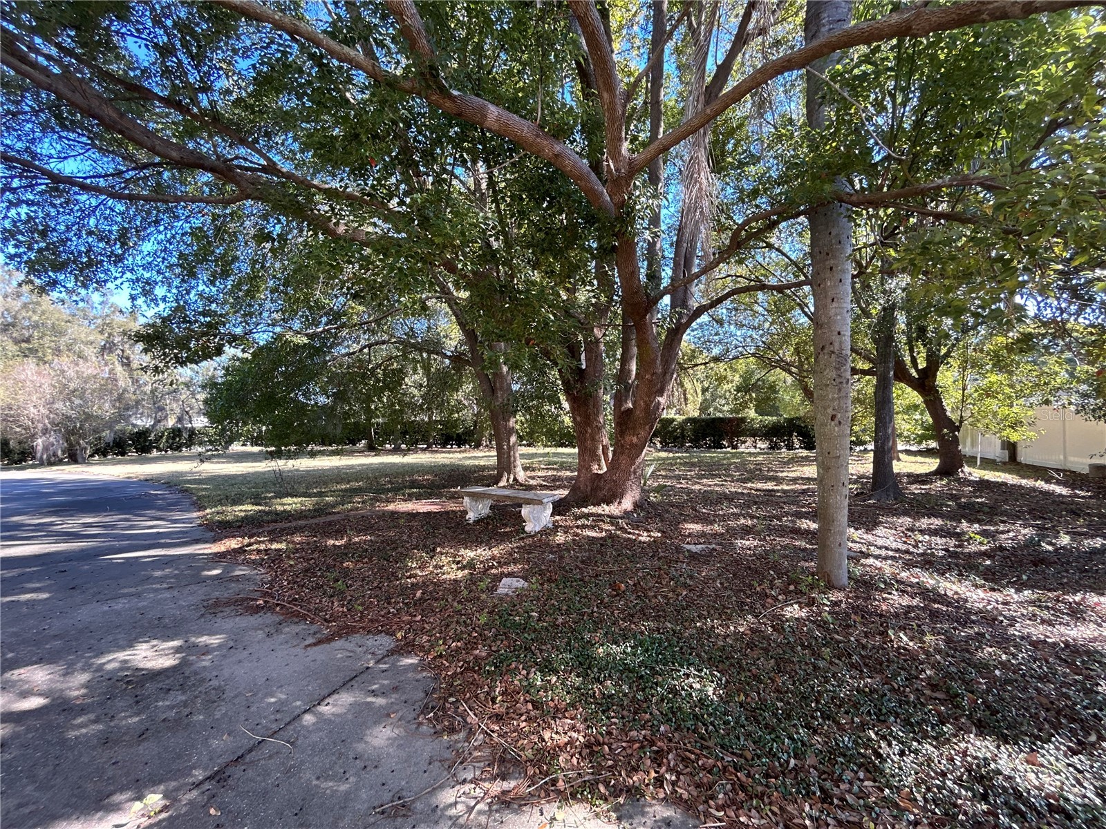 1105 Herndon Street Leesburg FL 34748 O6376598 image36