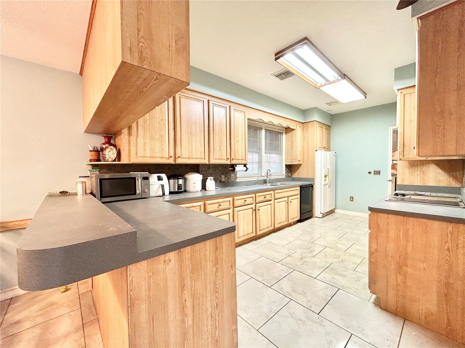 1105 Herndon Street Leesburg FL 34748 O6376598 image8