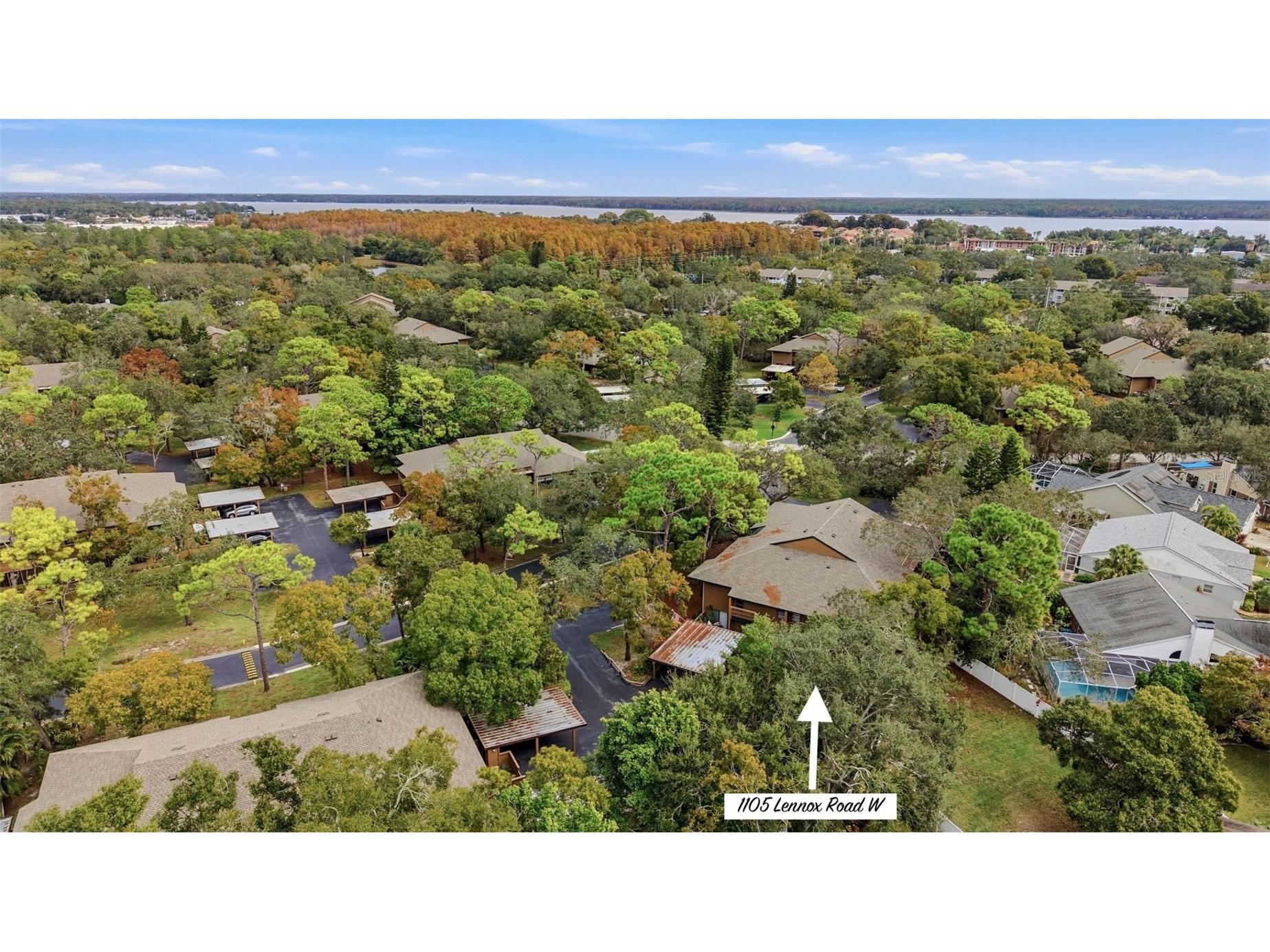 1105 Lennox Road W #1105 Palm Harbor FL 34683 TB8458350 image1