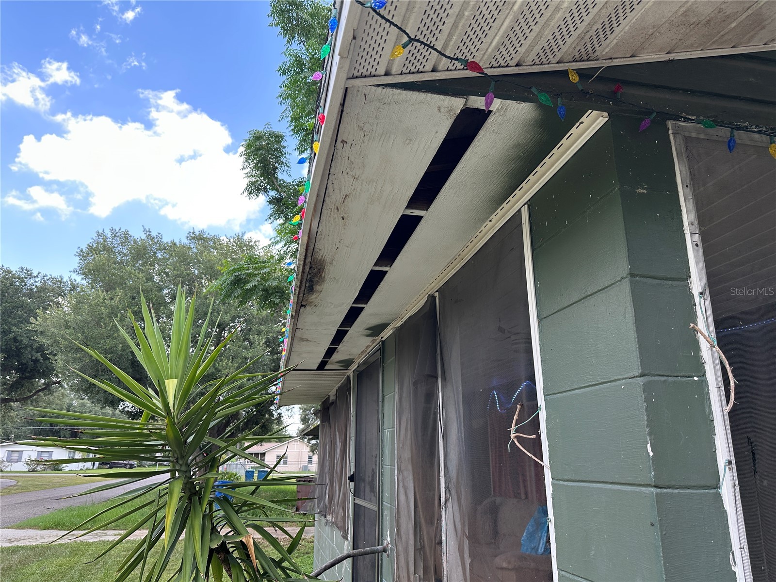 1105 NE 1st Street Mulberry FL 33860 V4950126 image25