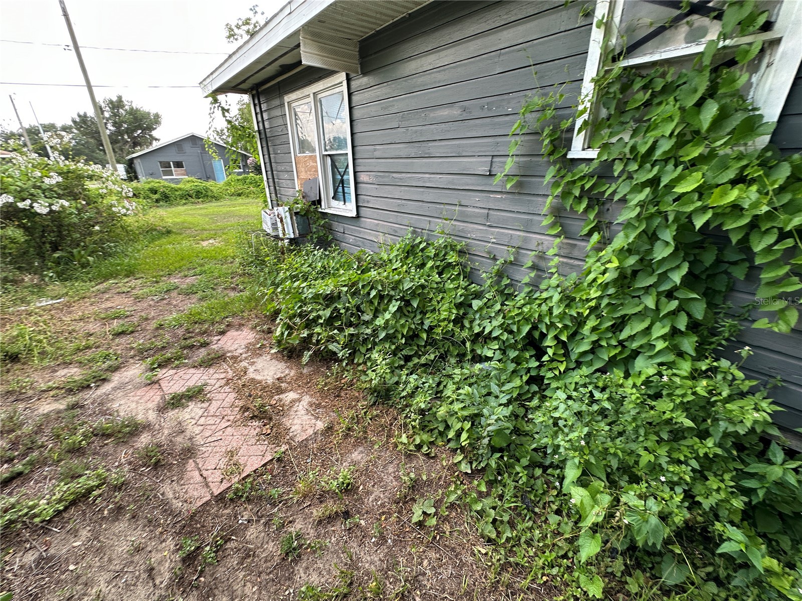 1105 NE 1st Street Mulberry FL 33860 V4950126 image40