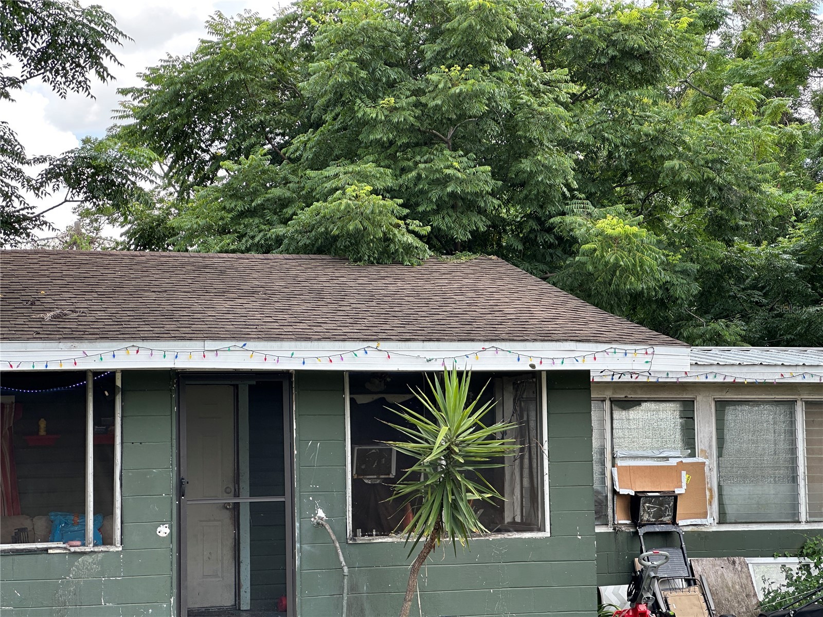 1105 NE 1st Street Mulberry FL 33860 V4950126 image41