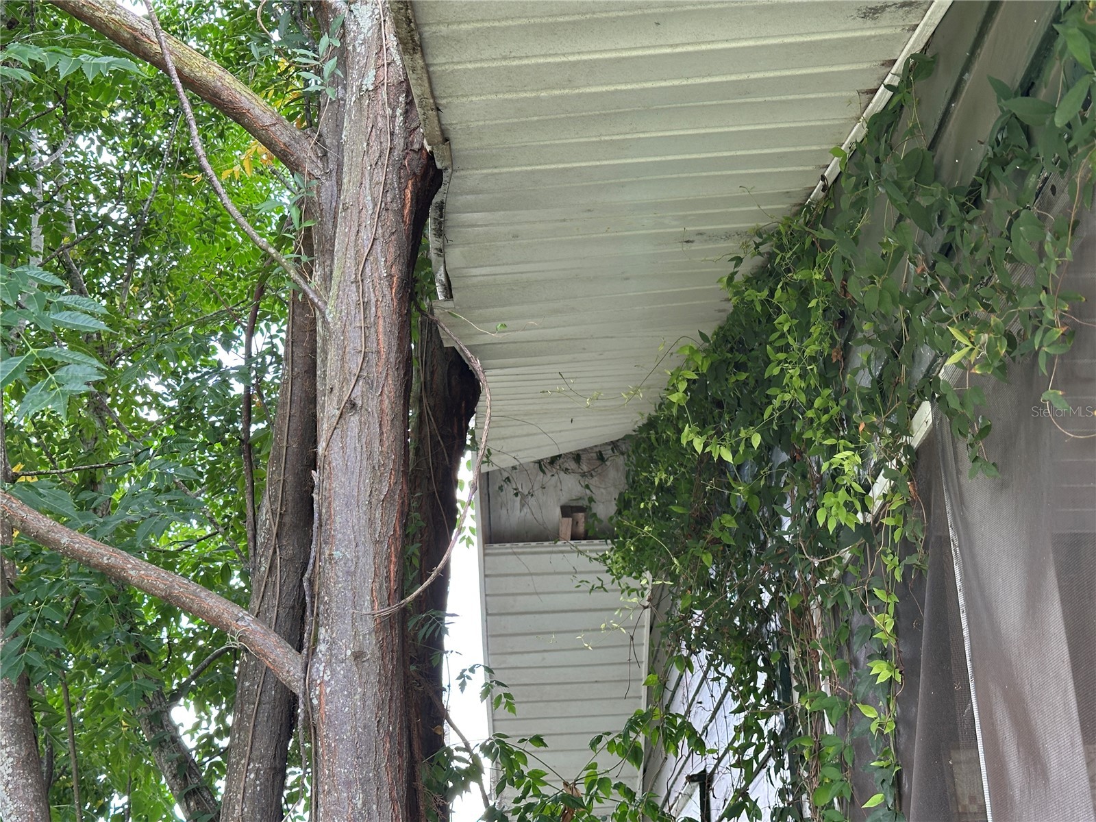 1105 NE 1st Street Mulberry FL 33860 V4950126 image53