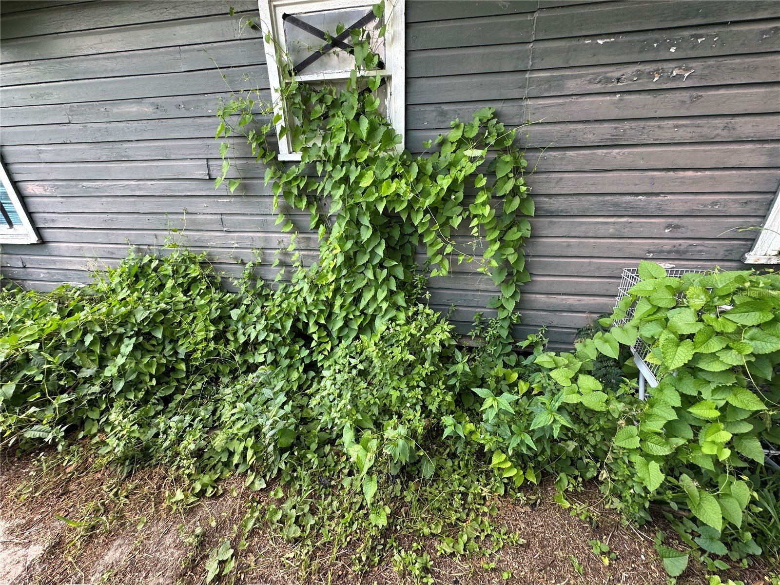 1105 NE 1st Street Mulberry FL 33860 V4950126 image67