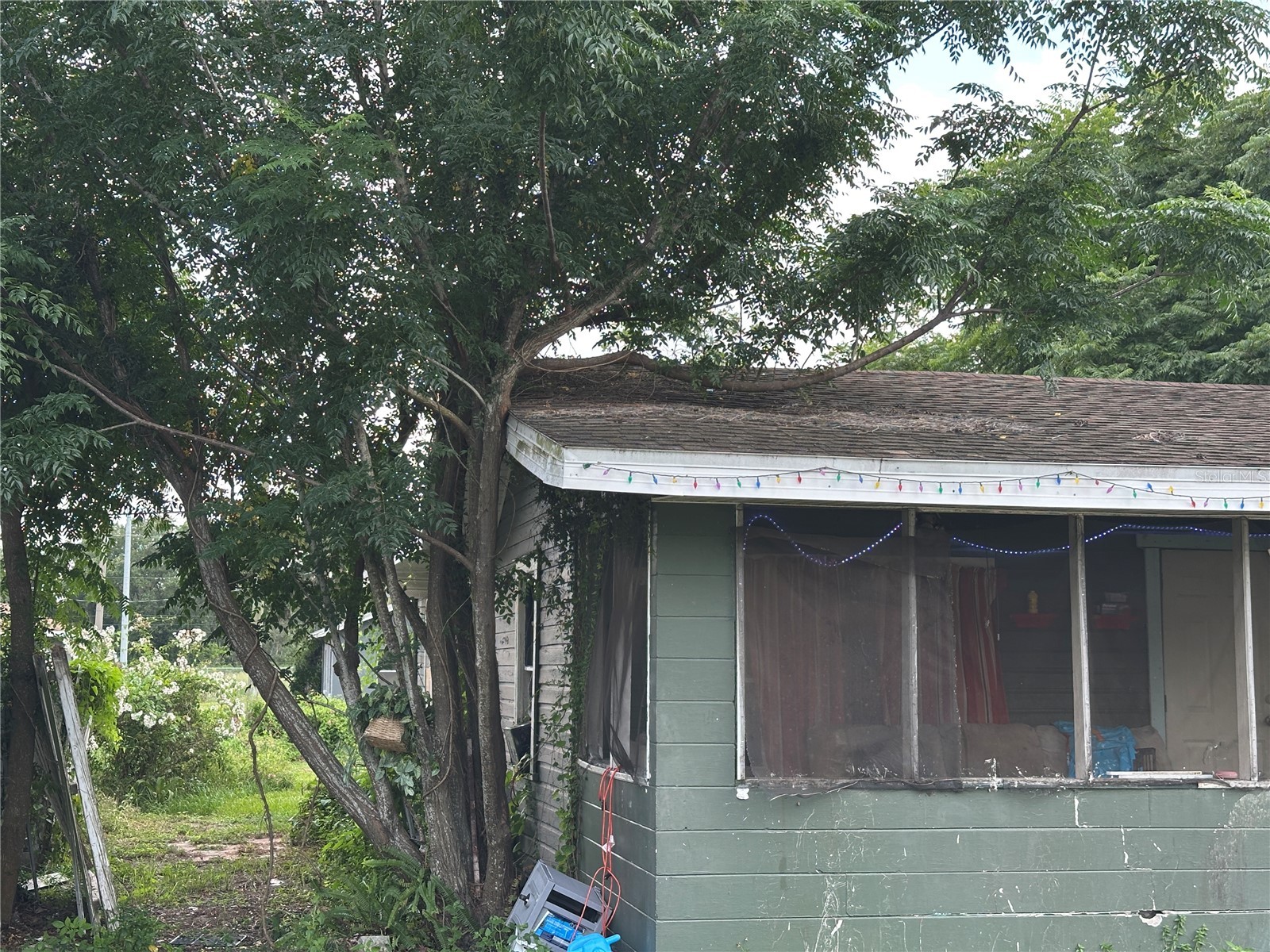 1105 NE 1st Street Mulberry FL 33860 V4950126 image68