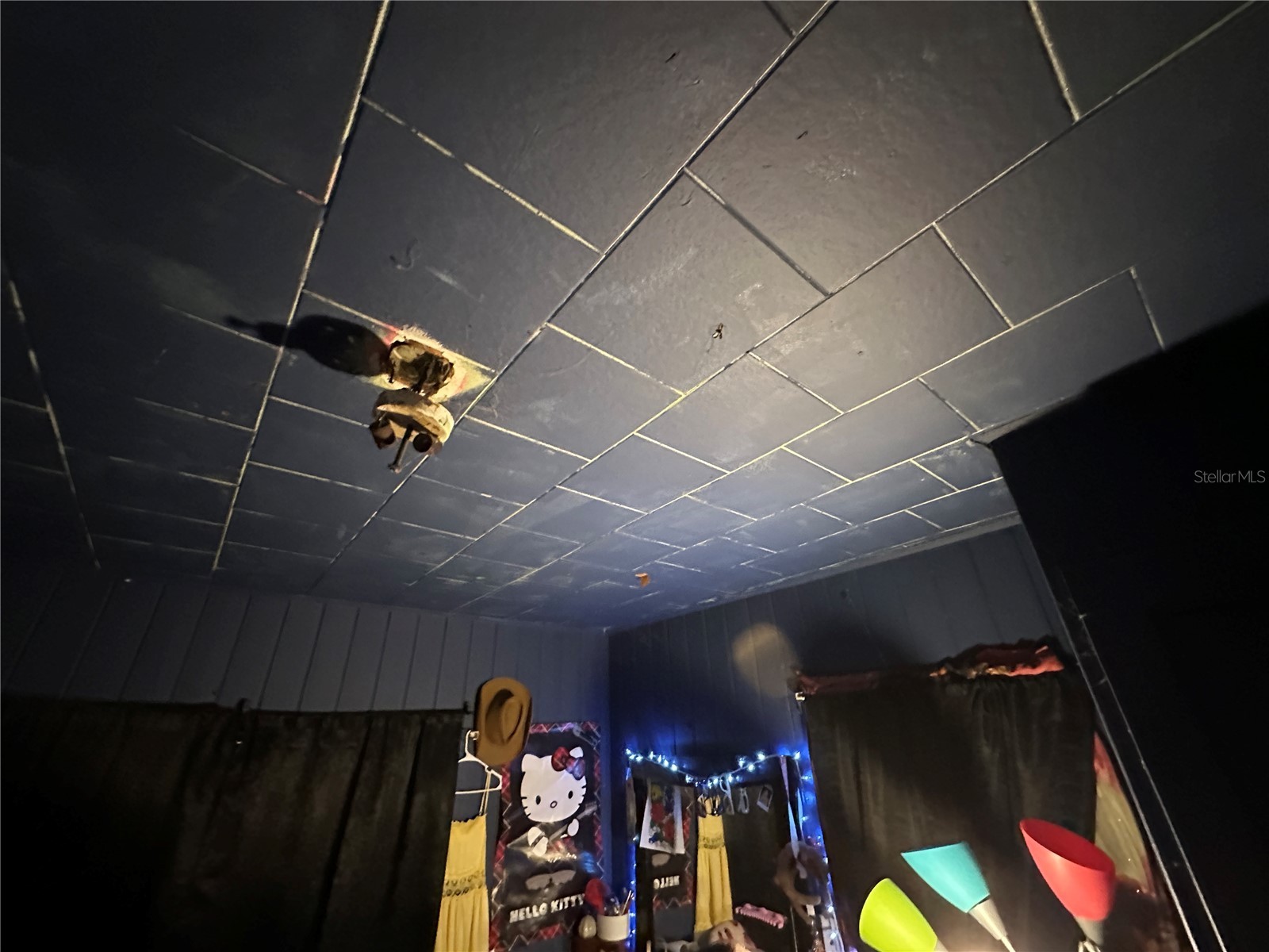 1105 NE 1st Street Mulberry FL 33860 V4950126 image84